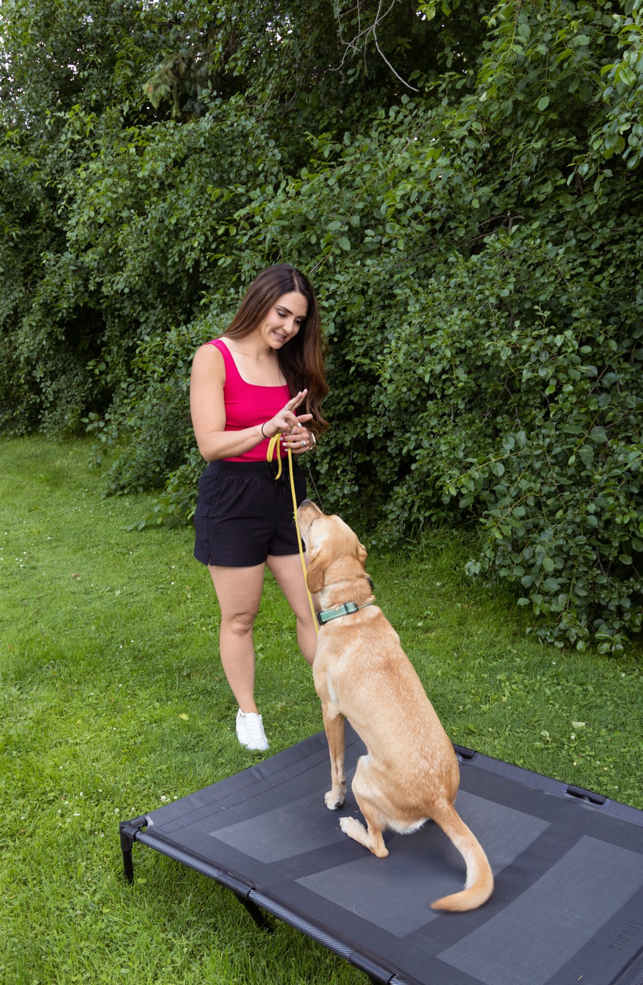 Young woman with long hair standing on a platform outdoors, holding a leash attached to a large dog, with green bushes in background.