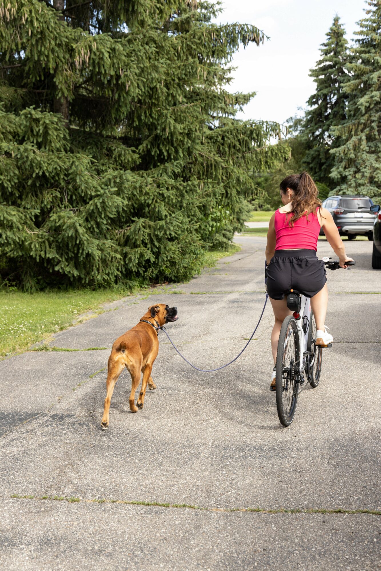 Woman riding a bicycle with a dog on a leash on a paved path surrounded by trees.