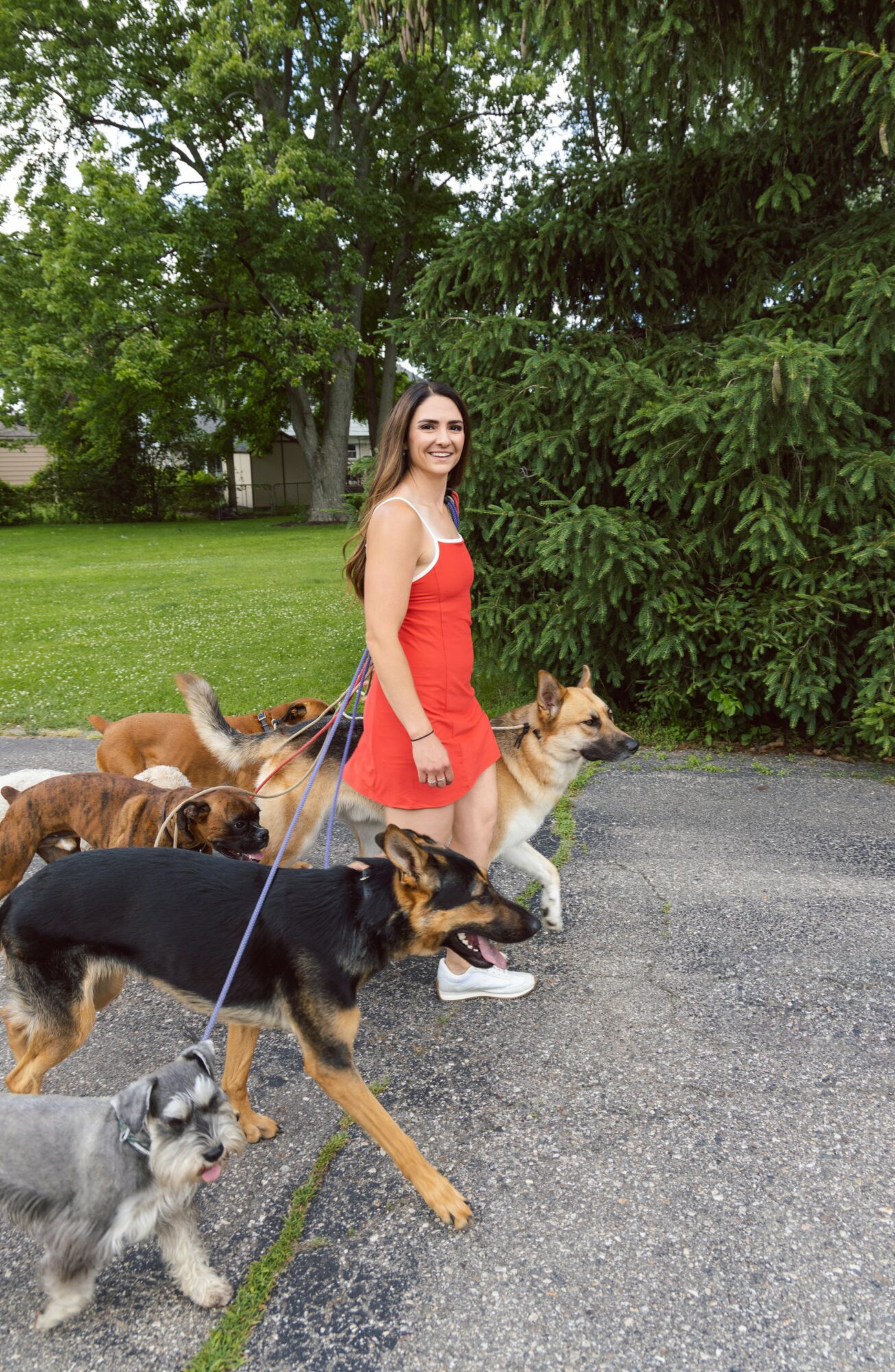 Woman in red dress walking dogs on a paved path with trees and grass in the background.