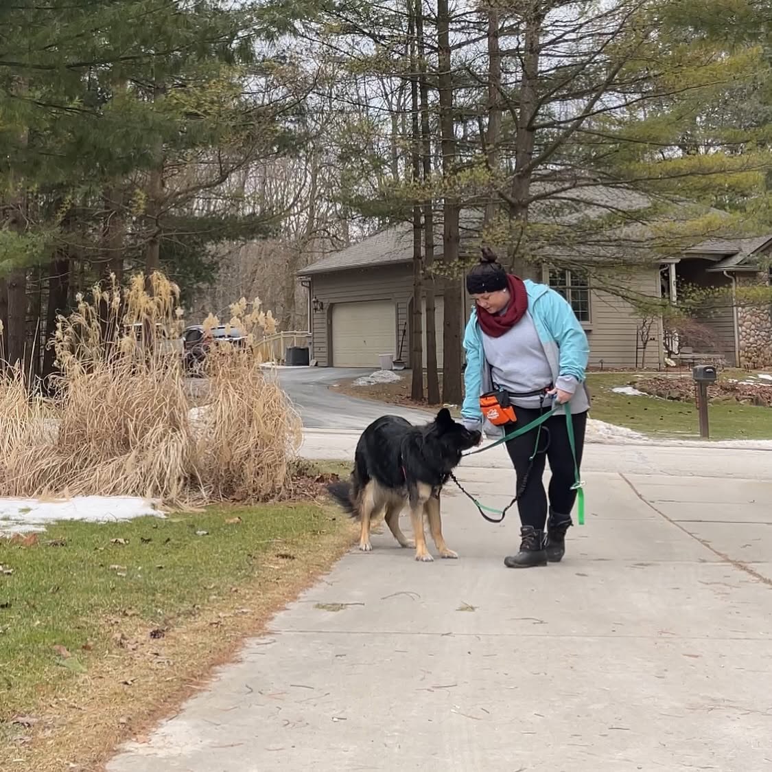 Person walking a large dog on a leash on a sidewalk in a suburban neighborhood during daytime.