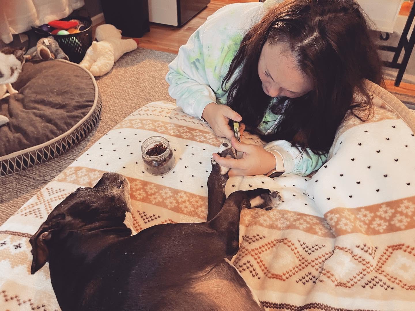 Woman lying on bed with dog, holding paw, dog lying on bed, blanket, pillow, basket with dog toys nearby
