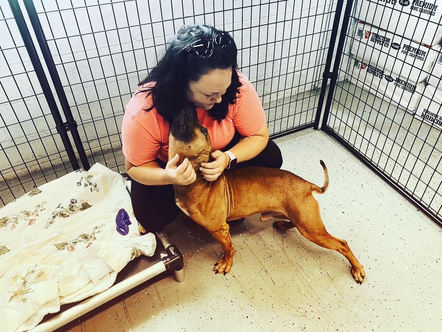 Woman hugging a brown dog inside a metal enclosure, with a blanket and a purple toy nearby.