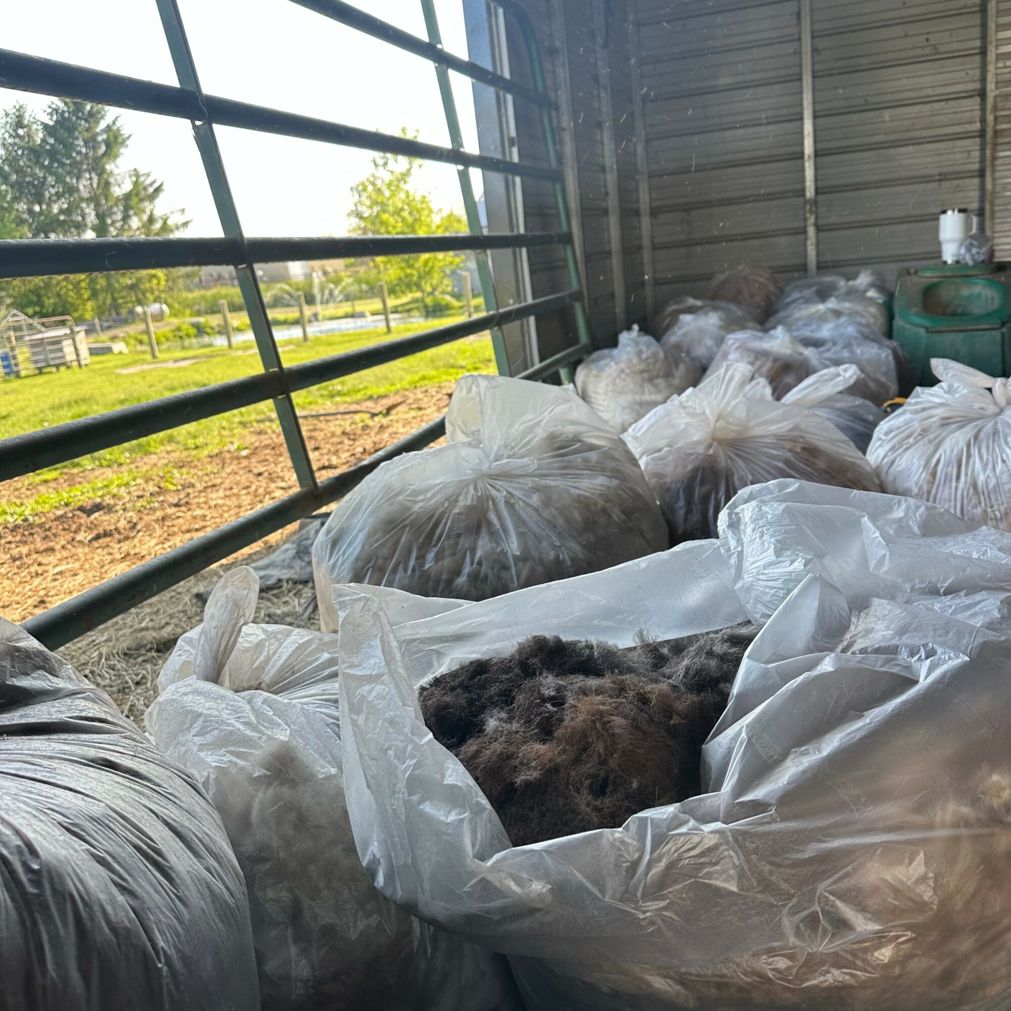 A small animal, possibly a puppy, resting on a white plastic bag inside a shed with metal walls and open side, with bags of supplies nearby.