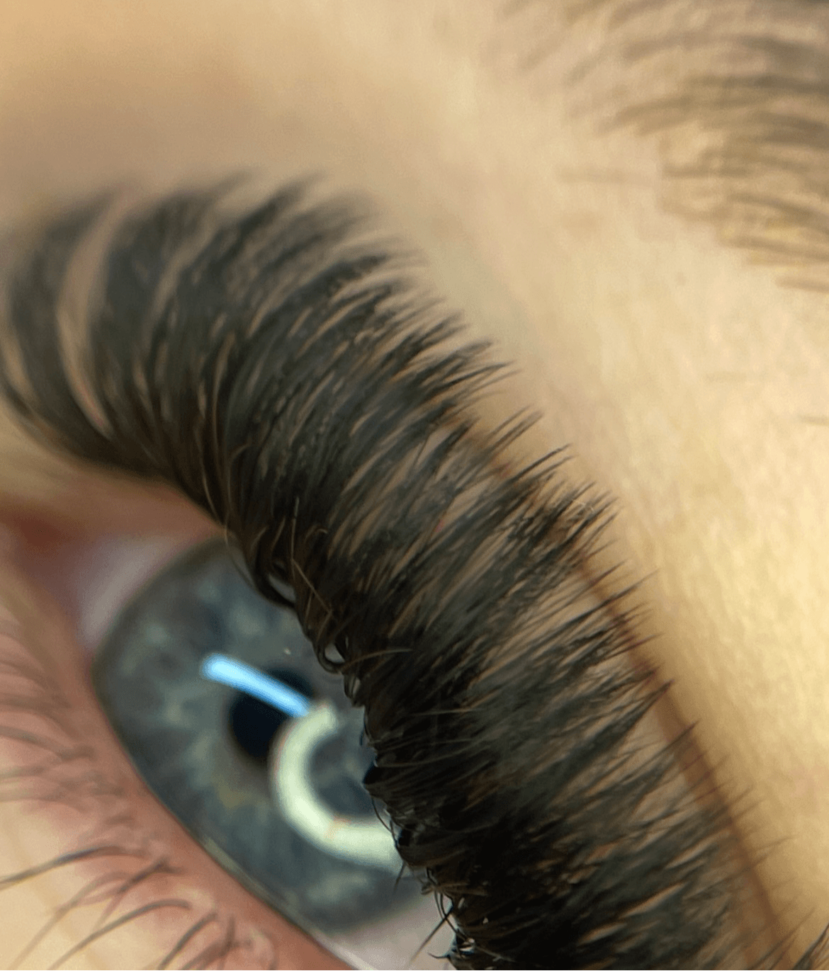 Close-up of a blue eye with long, dark eyelashes and a reflection in the cornea.