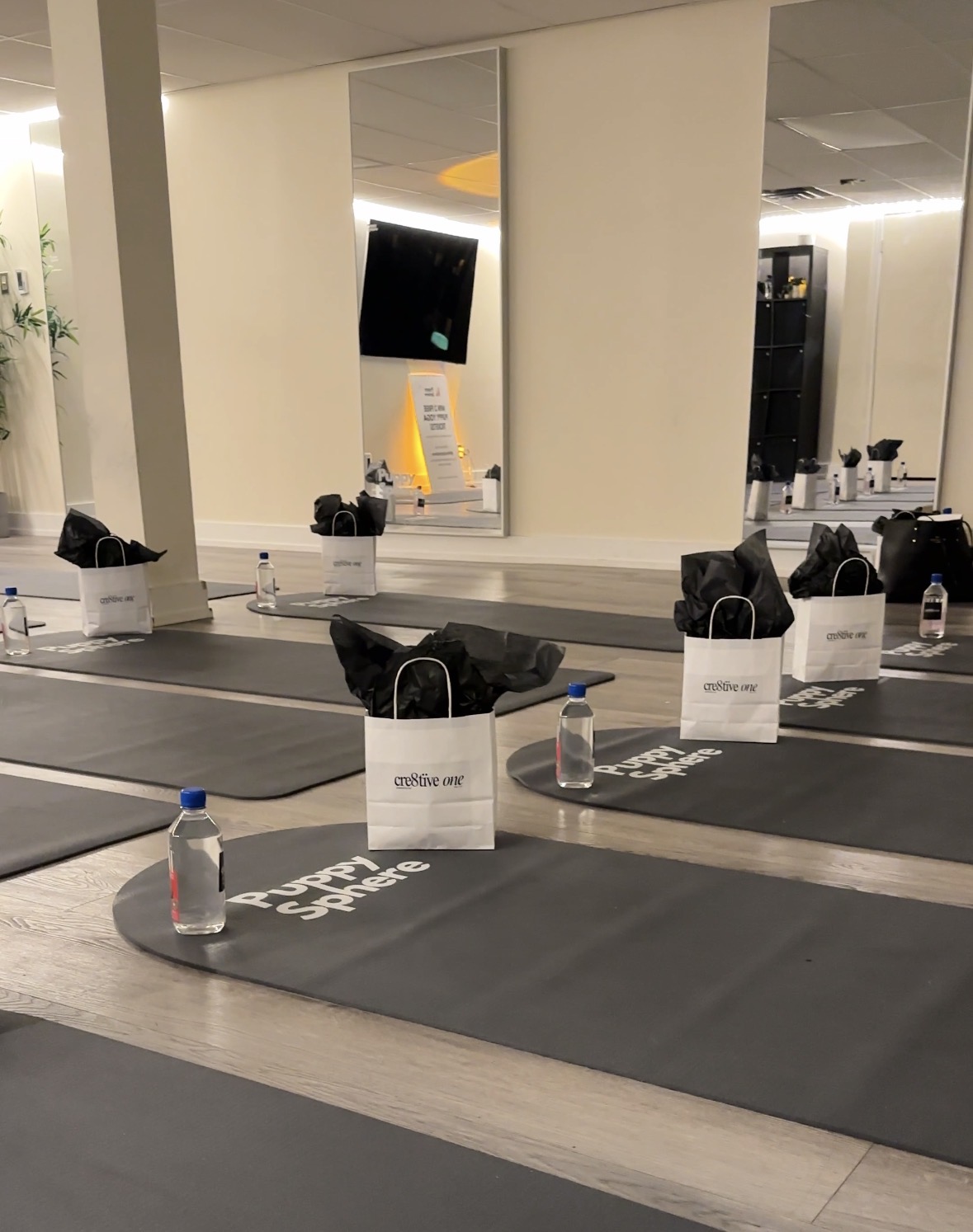 Yoga mats with bottles and towels arranged in a fitness studio, mirrors and a TV in the background.
