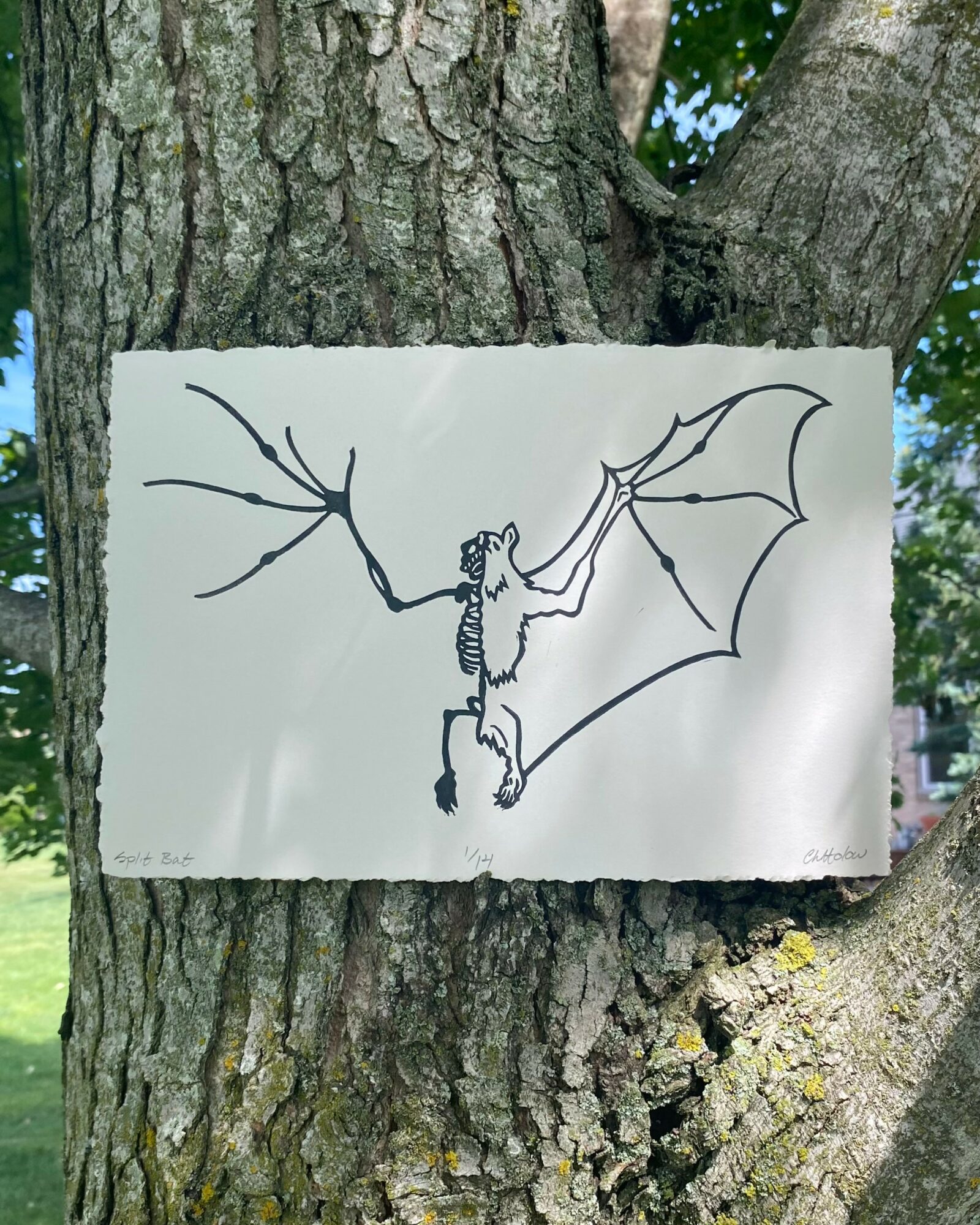Drawing of a creature with bat-like wings and a humanoid body attached to a tree trunk.