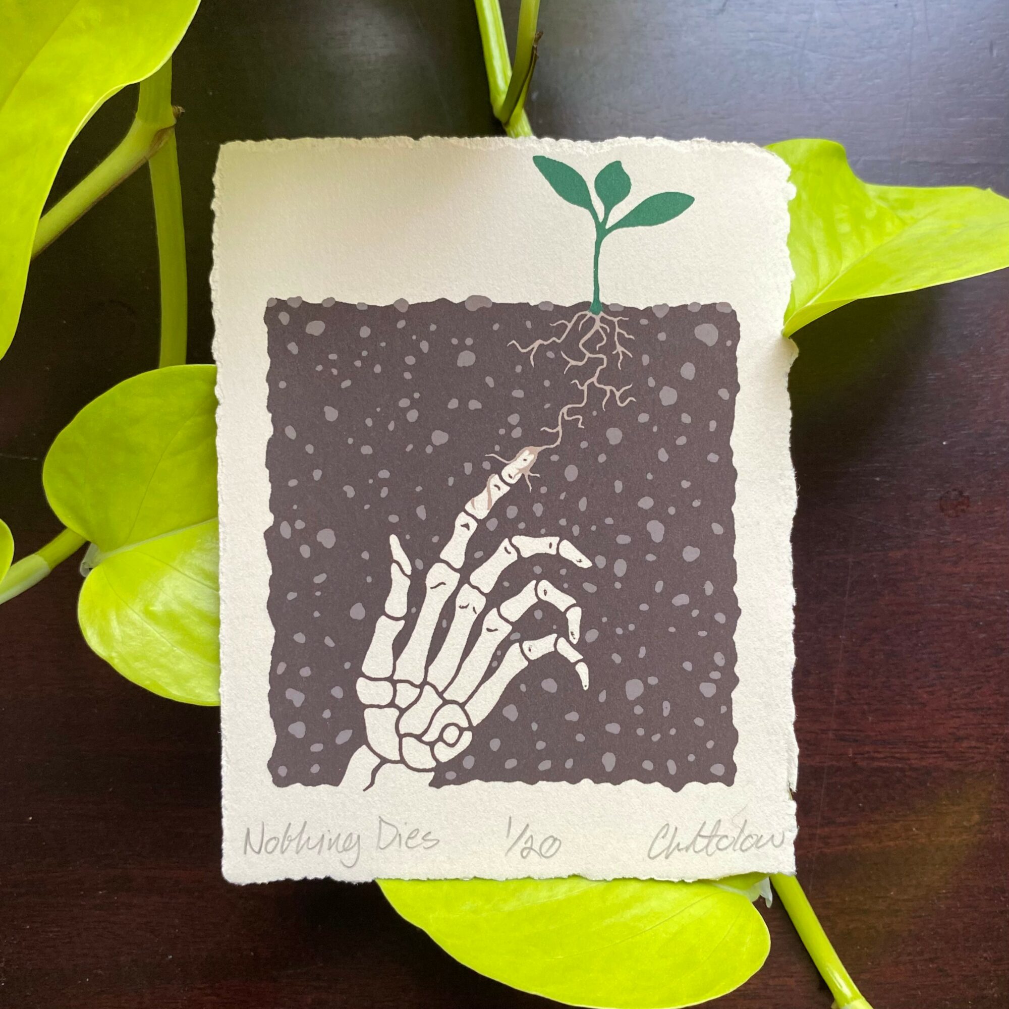 Illustration of a skeletal hand reaching toward a small plant with roots, surrounded by dots, with handwritten text below.