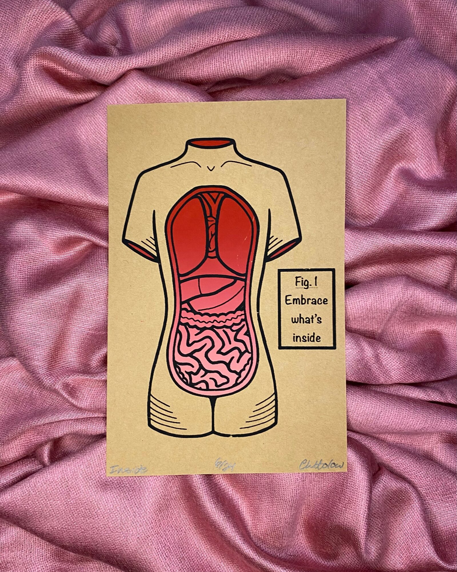 Diagram of a human torso showing internal organs, with a label saying 'Fig. 1 Embrace what's inside,' on pink fabric background.