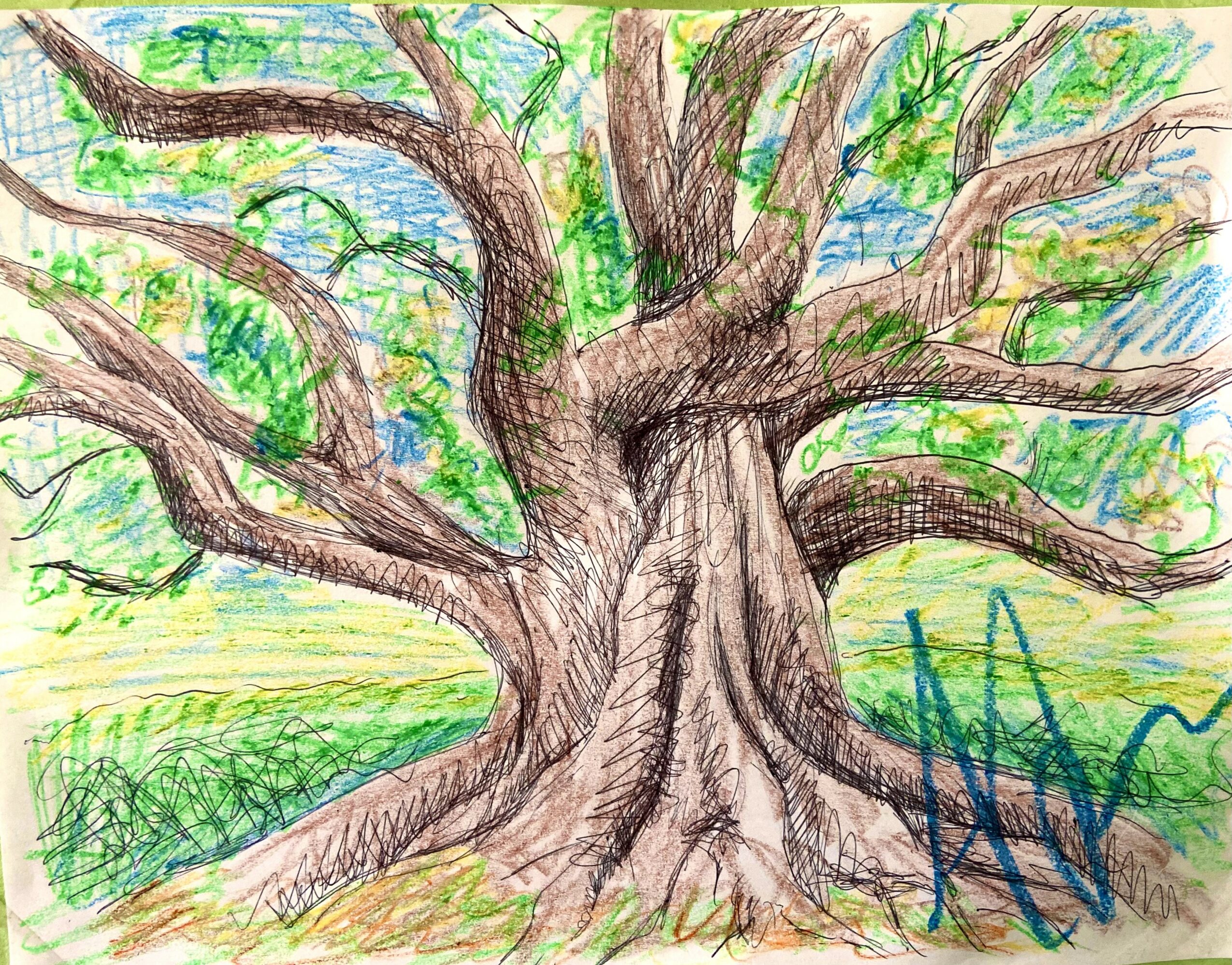 Colorful drawing of a large tree with thick trunk and sprawling branches, green leaves, and grass around it.