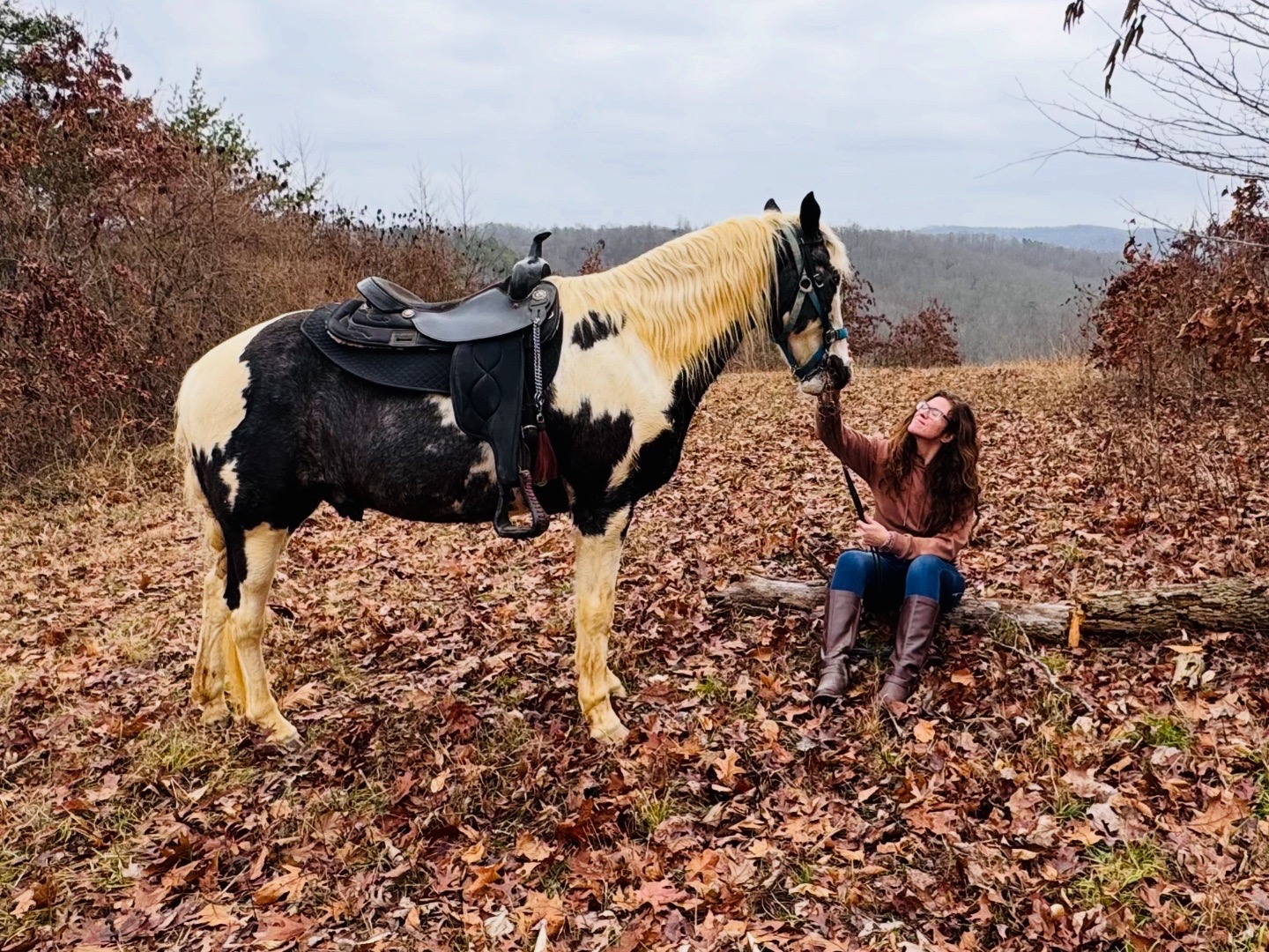 Girl sitting on a log touching a black and white horse in a fall landscape with trees and leaves