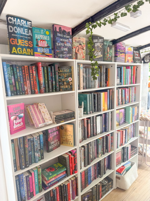 Bookshelves filled with colorful books and a small plant on top, in a well-lit room with wooden flooring.