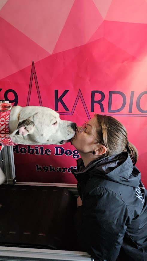 Person and dog touching noses in front of a pink background with text, dog wearing a red collar.