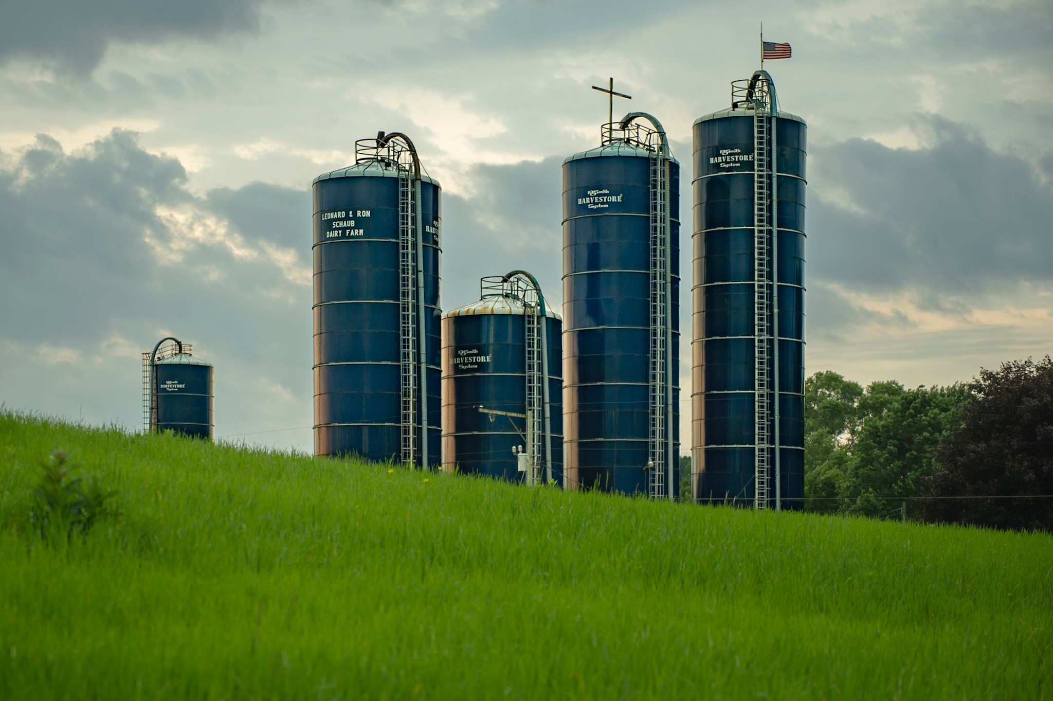 Five blue silos stand in a row on a grassy field with cloudy sky background.