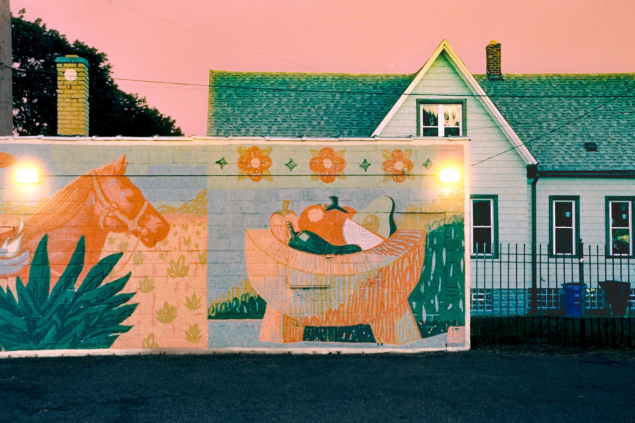 Colorful mural of a cat in a bathtub with plants, against a pink sky background.