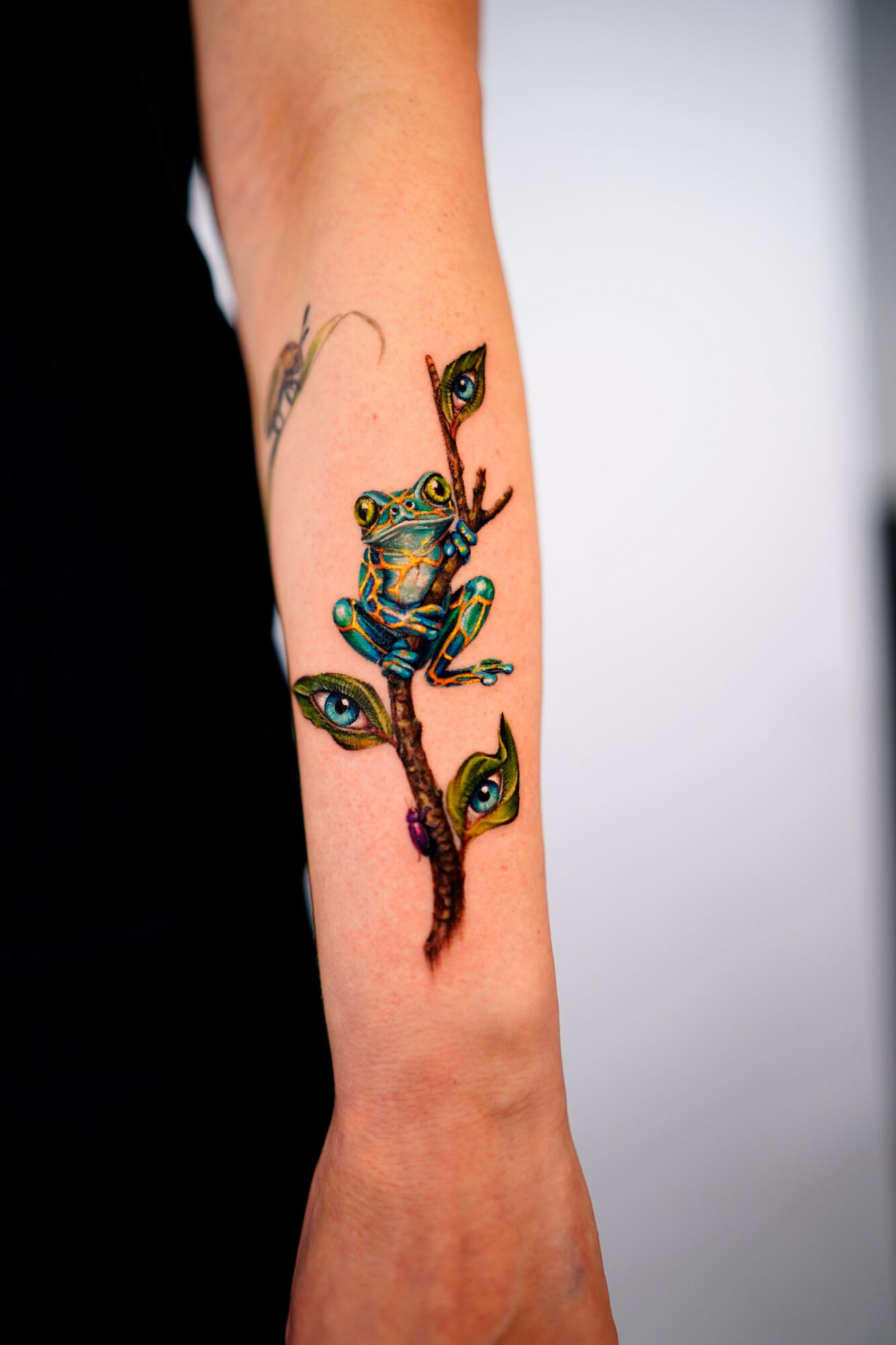 Colorful frog tattoo with peacock feather eyes on person's arm, detailed and vibrant, against a plain background.
