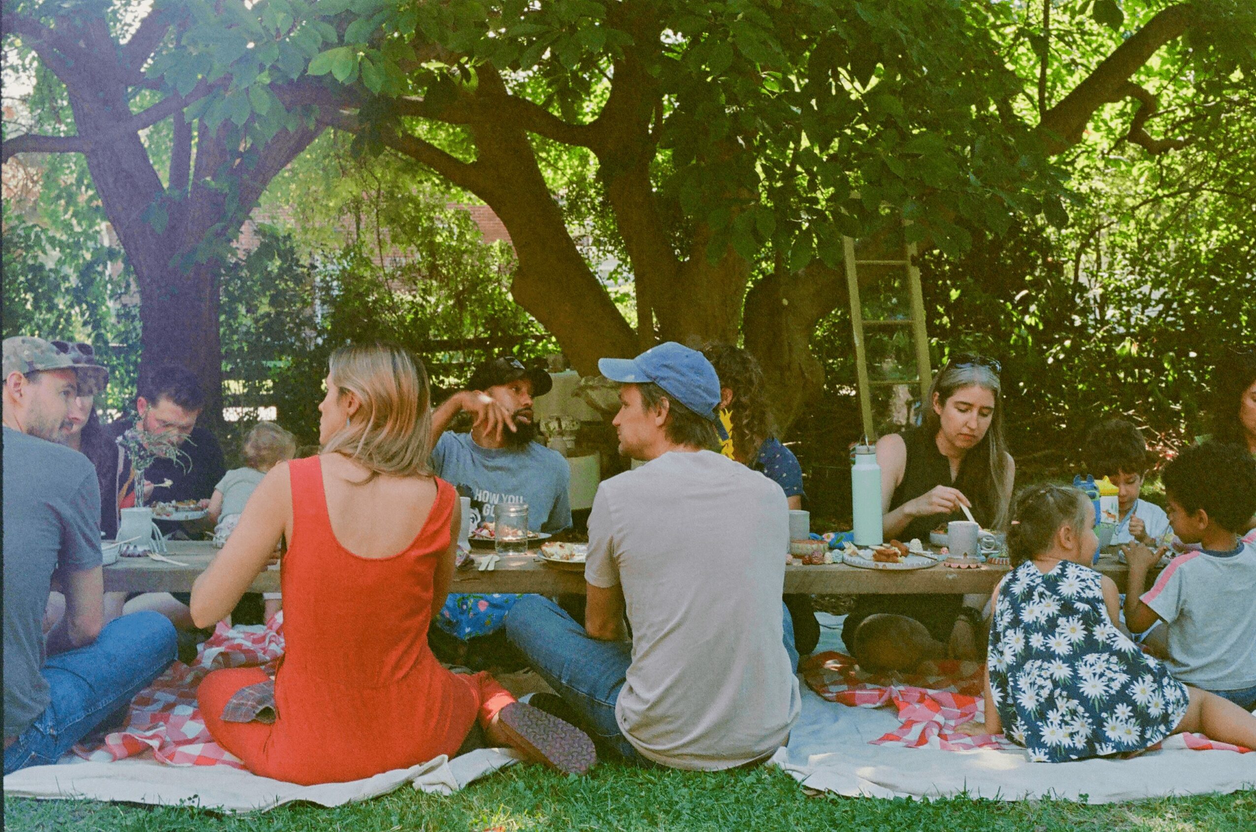 Group of people sitting on a blanket under a large tree in a park, enjoying a picnic.