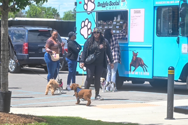 Group of people with dogs walking on sidewalk near a blue pet food truck, trees, and parked cars in background.