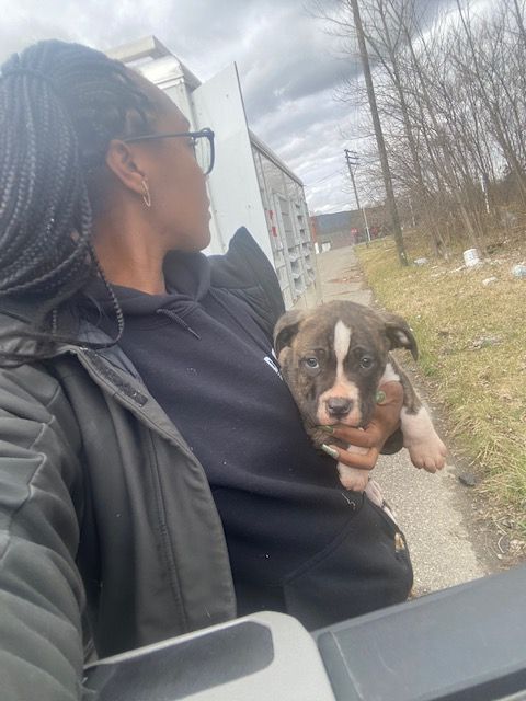 Person with braided hair and glasses holding a small dog outside on a cloudy day.