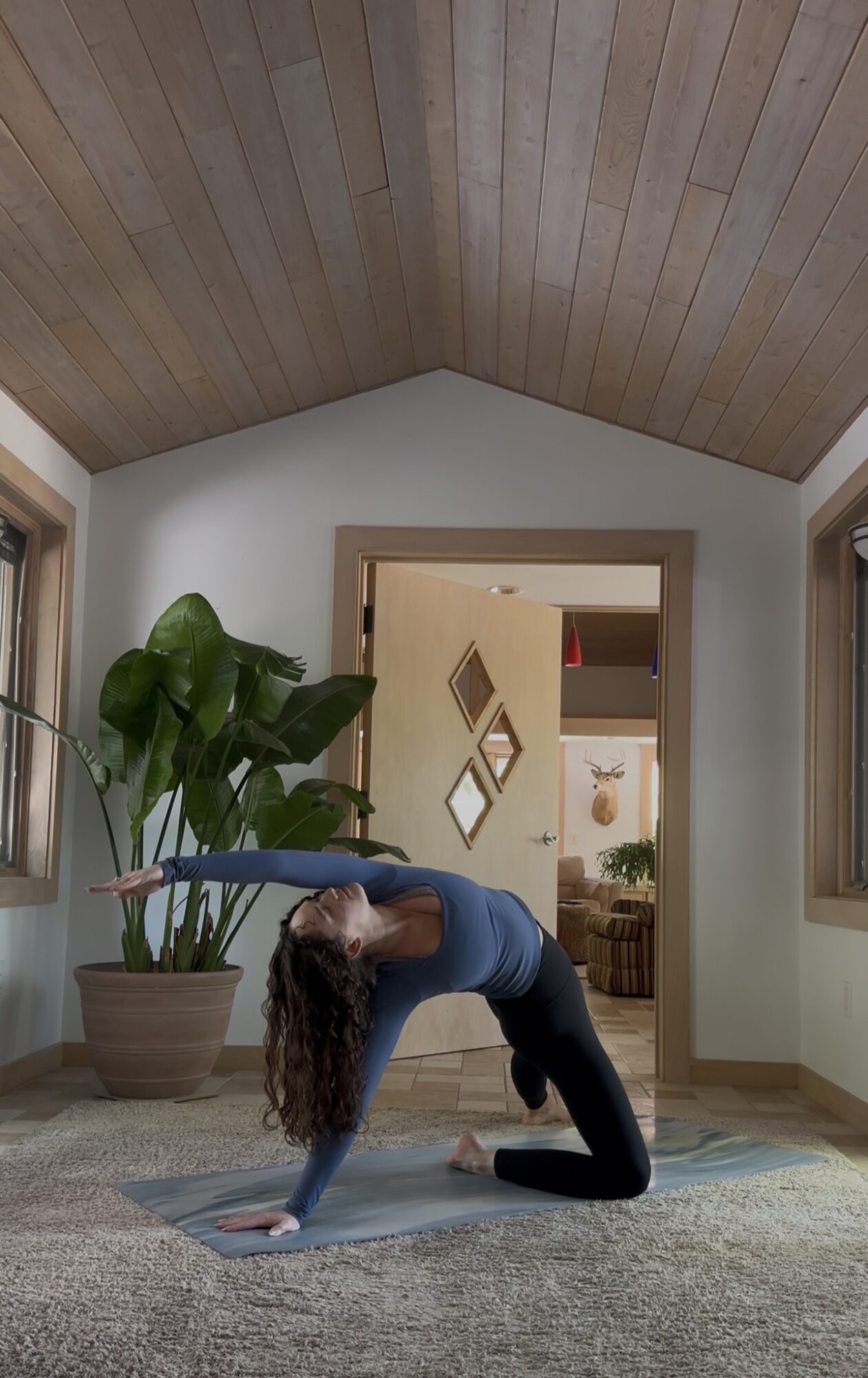 Person with curly hair in a blue top and black pants on hands and knees on a yoga mat in a room with wooden ceiling and large plant.