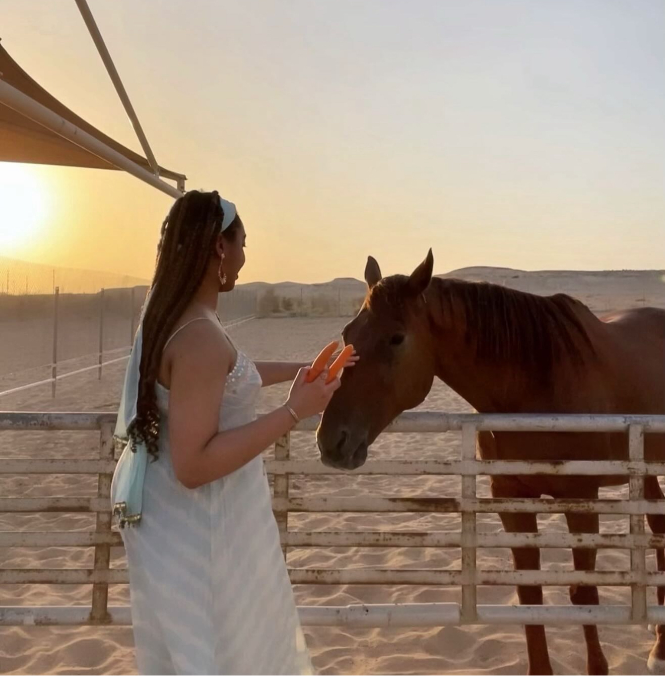 Woman in white dress interacts with a horse behind a wooden fence at sunset in a desert landscape.