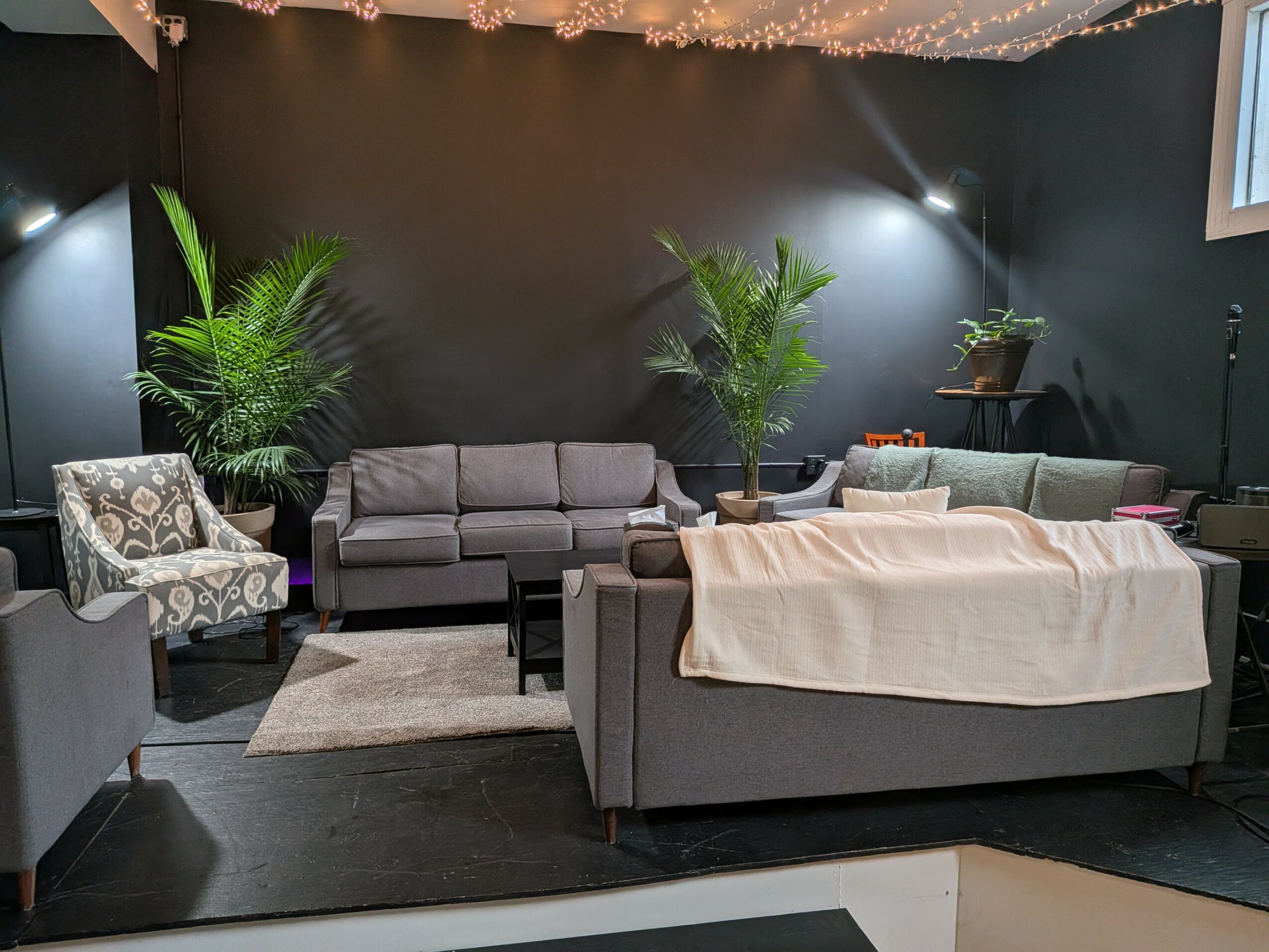 Living room with gray sofas, patterned armchair, green plants, and dark wall, illuminated by spotlights and string lights, with a window on the right.