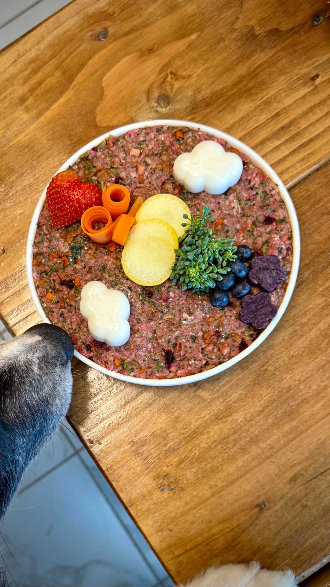 Dog's nose near a bowl of pet food with vegetables and decorative clouds on a wooden surface.