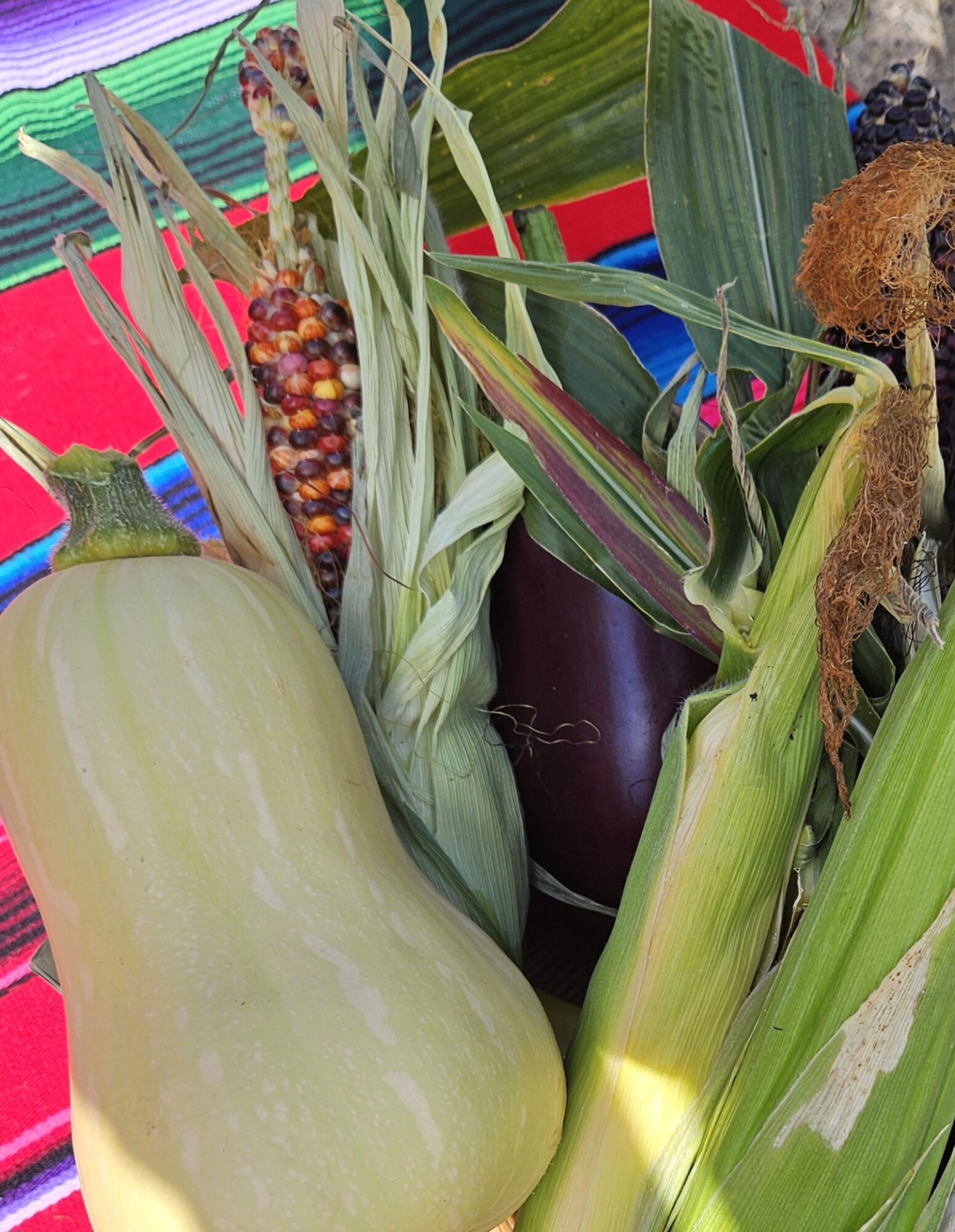 Arrangement of vegetables and plants including a large light green squash, eggplant, corn, and leafy greens in a container.