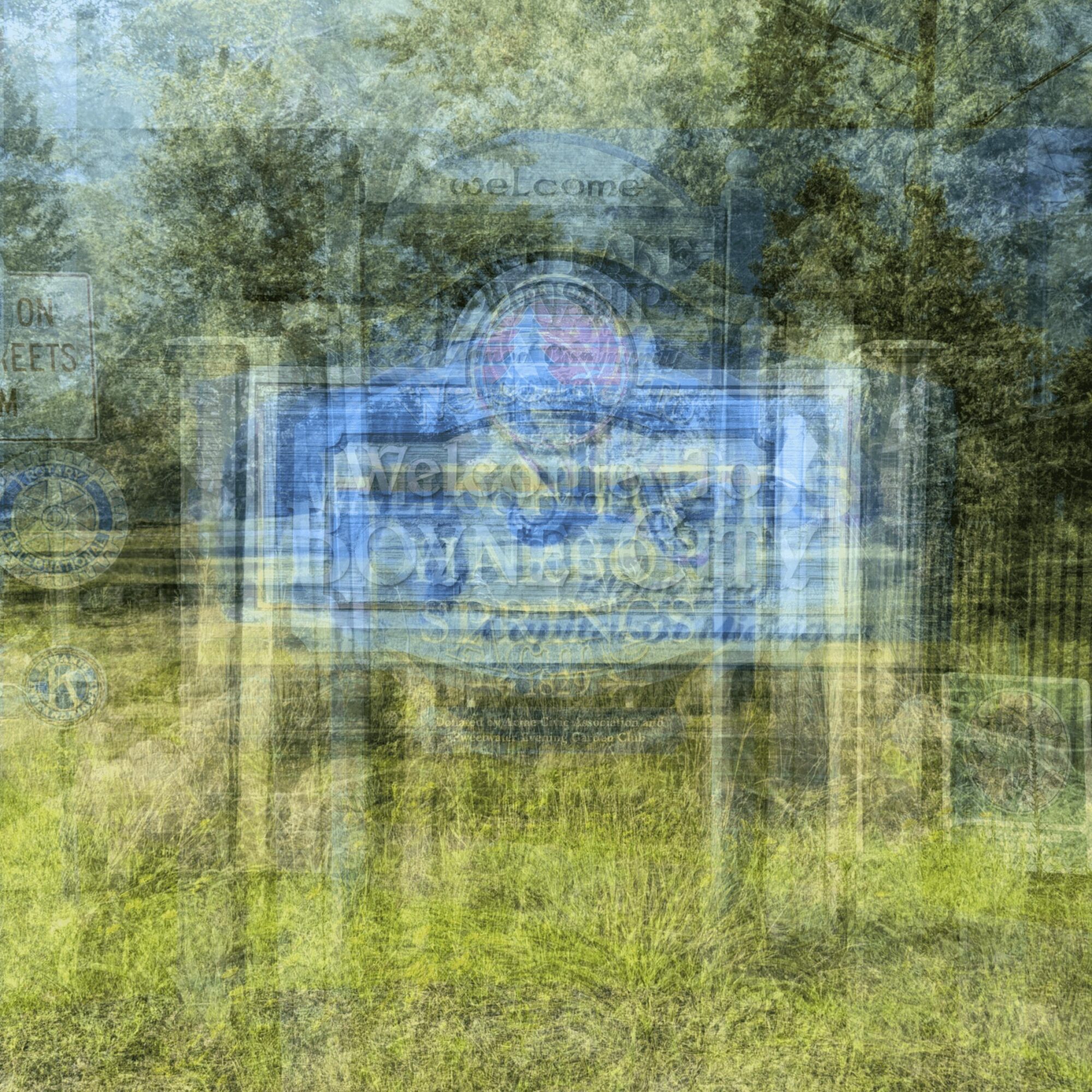 Multiple overlapping signs and trees in a park, creating a layered, blurry effect.
