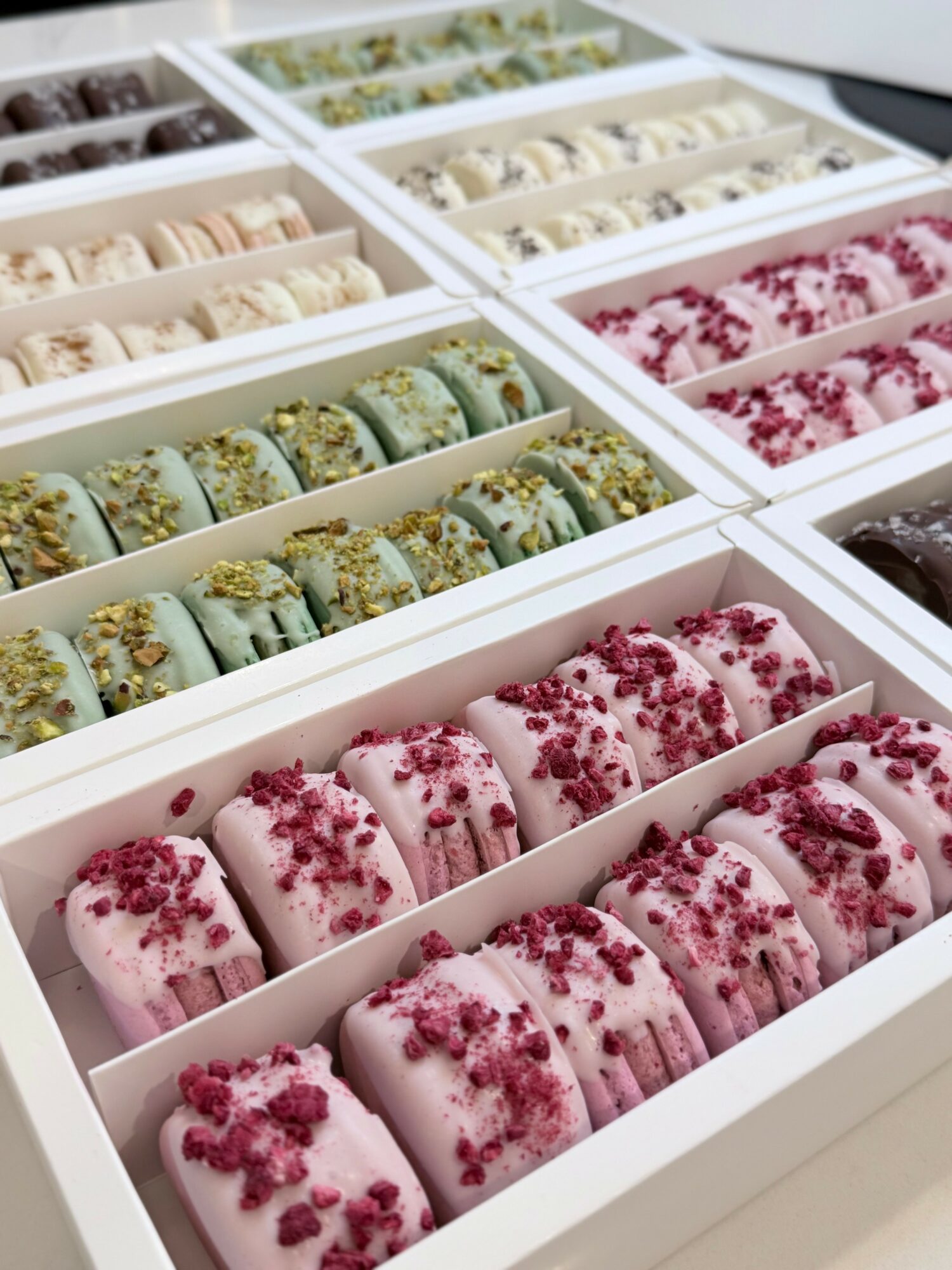 Assorted macarons in boxes with pastel colors and toppings, arranged in rows, on a white surface.