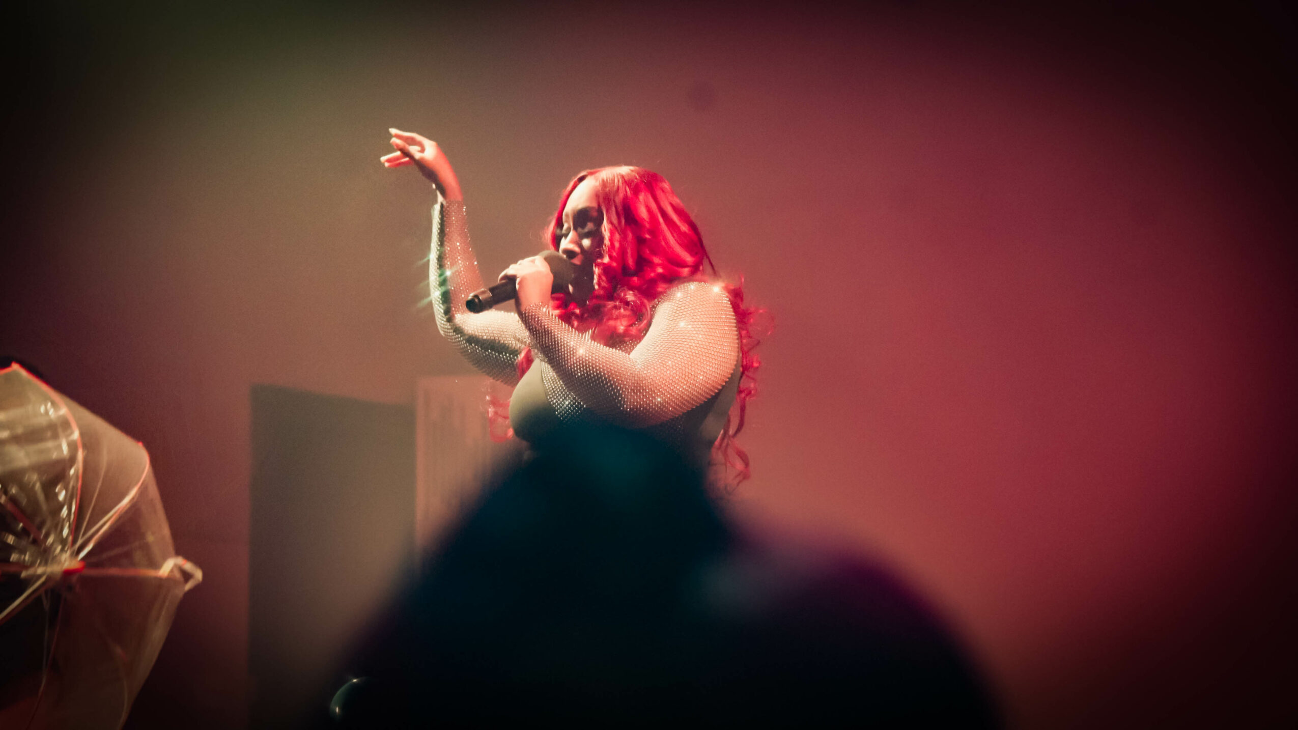 Performer with long red hair singing on stage, holding a microphone, with a blurred audience in foreground.