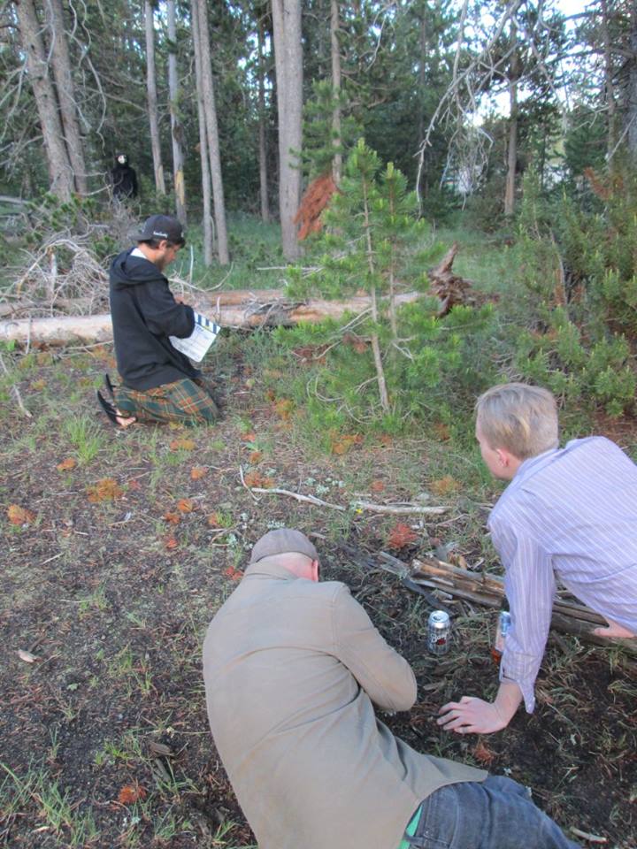 Three men in a forested area examining or working with plants or trees, with trees and greenery in the background.