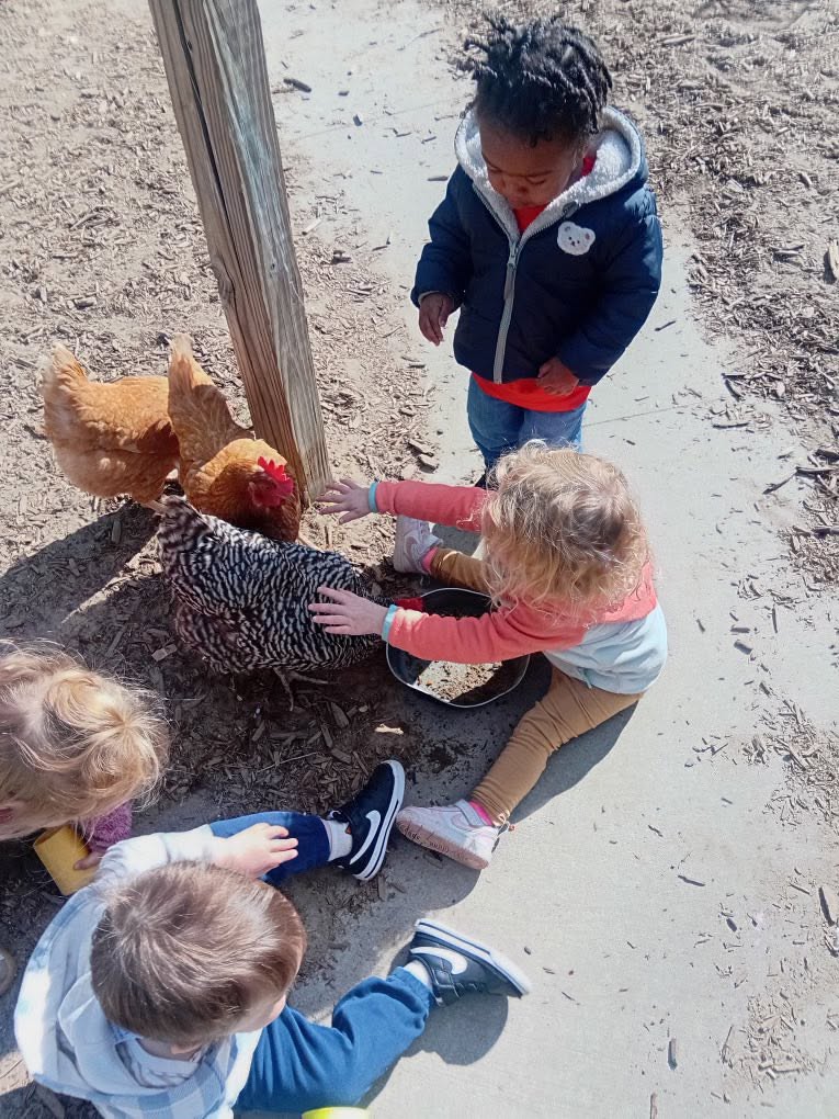 Three children playing with a chicken outdoors, one touching the chicken, others nearby, on a dirt surface.