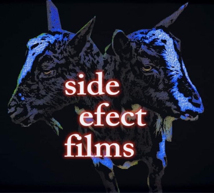 Two tiger heads facing opposite directions with text 'side effect films' in the center.