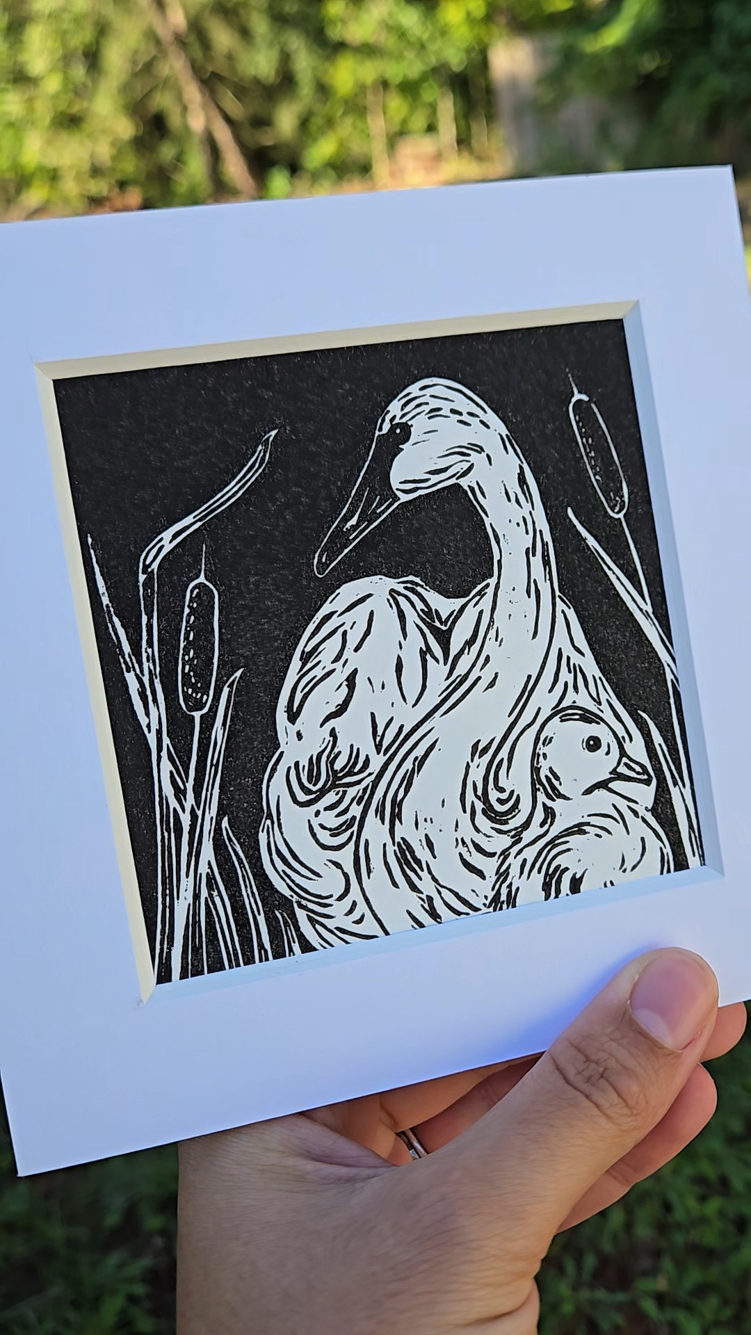 Person holding a framed black and white illustration of a swan among reeds outdoors.