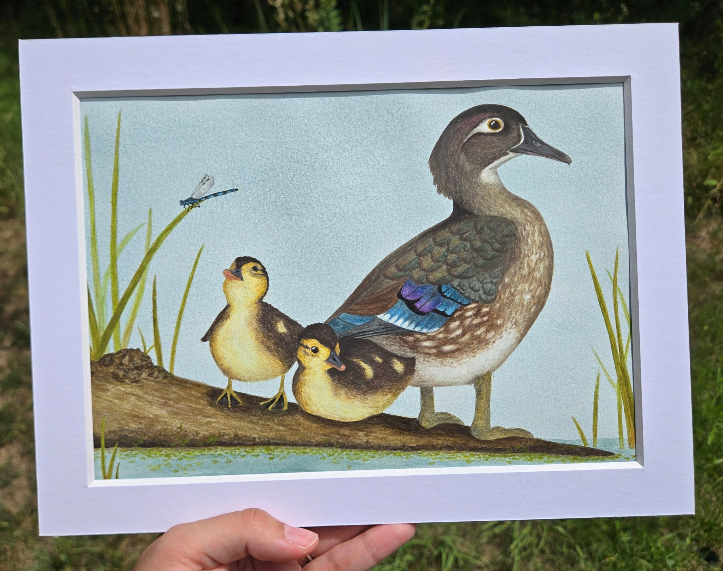 Painting of a duck with three ducklings near water and tall grass, held in a white frame outdoors.
