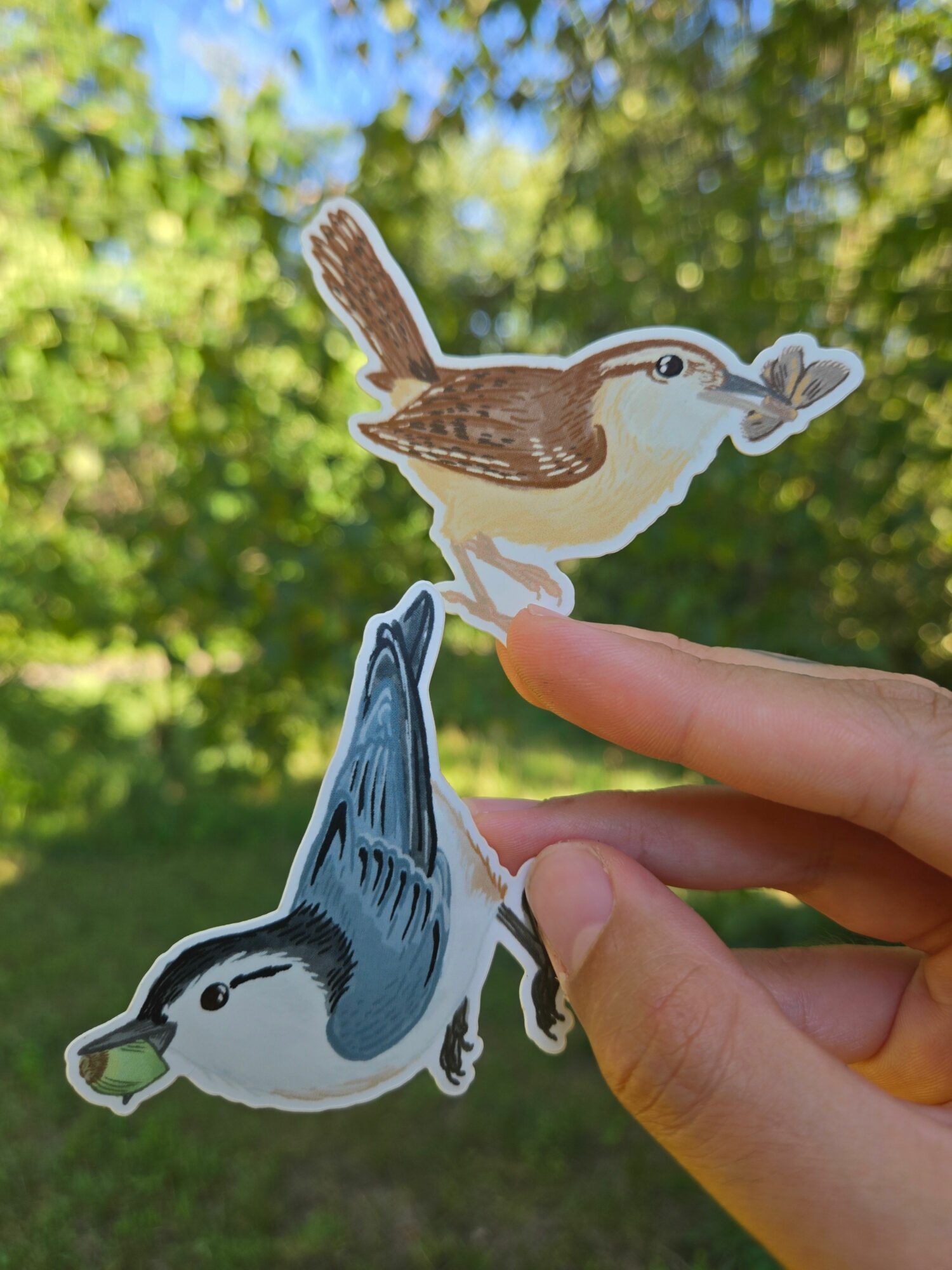 Person holding two bird stickers outdoors with green trees and blue sky in background.