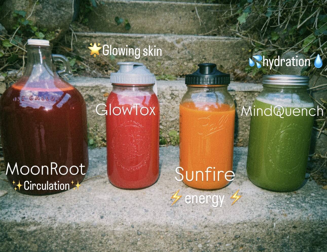 Four jars with colorful liquids on steps, labeled with glowing skin, hydration, glowtox, mind quench, moonroot, sunfire, circulation, energy.