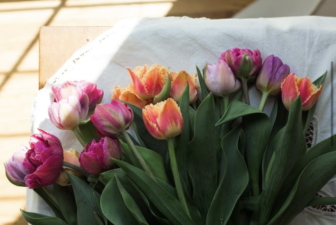 Bouquet of pink, orange, and purple tulips on white paper, with sunlight and wooden surface nearby.