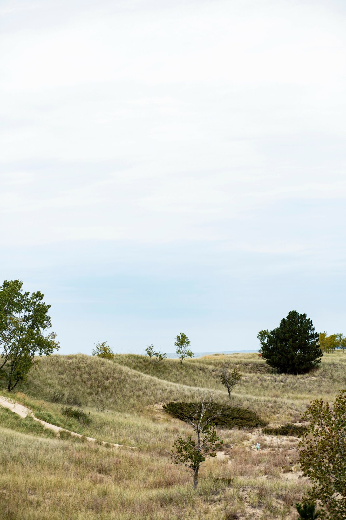 Landscape with grassy hills, trees, and a cloudy sky.