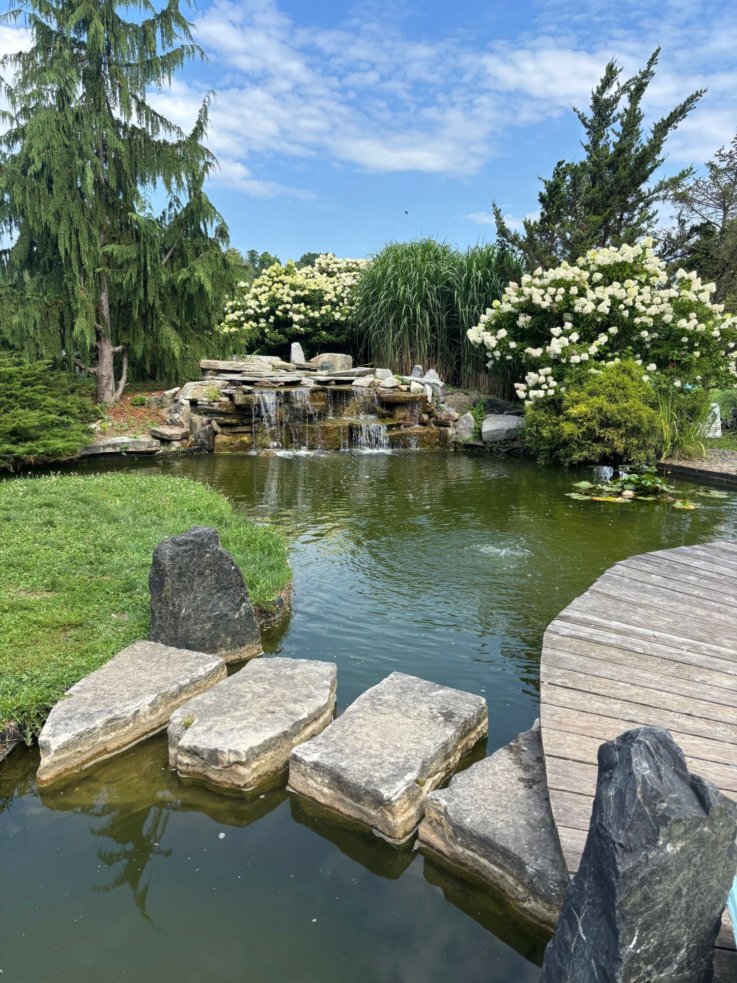 A pond with rocks, trees, and a wooden walkway, under a blue sky with clouds.