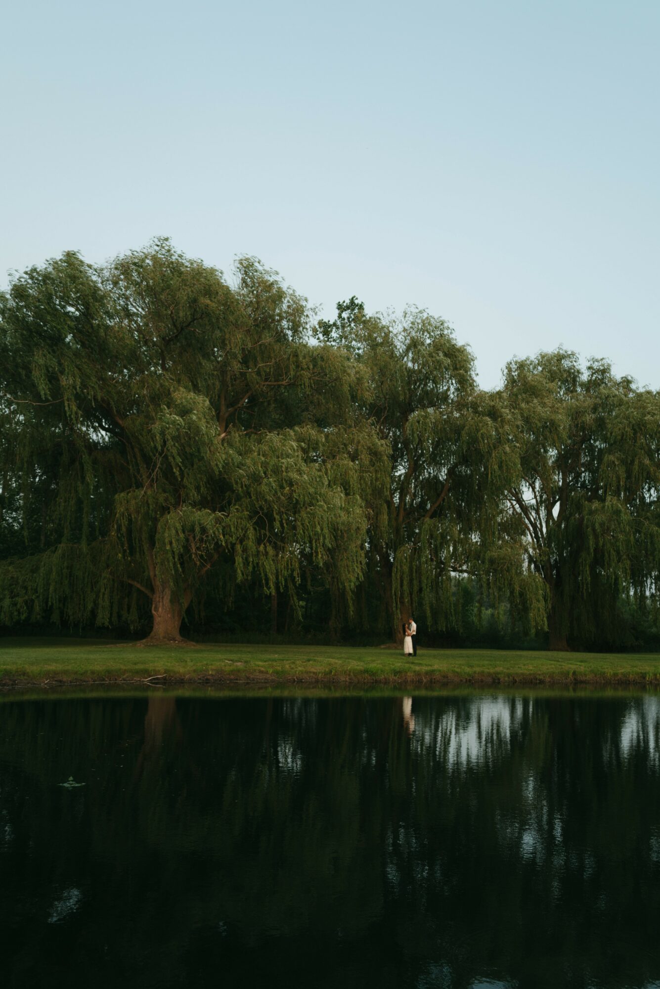 Trees by a lake with a person walking along the shore, clear sky above, calm water reflecting the scene.