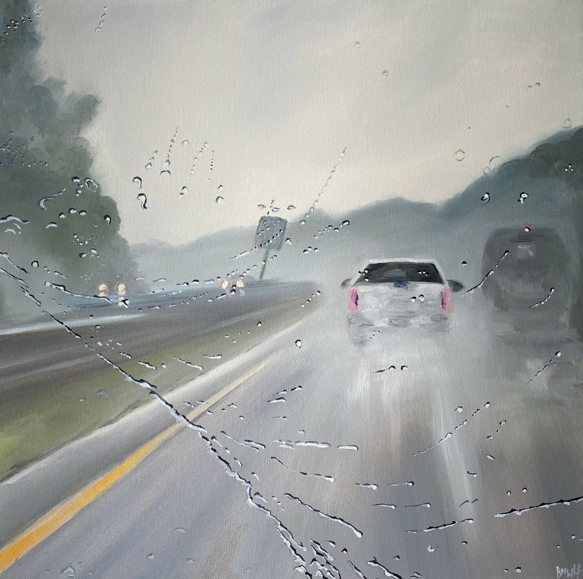 View through a rain-covered windshield of a wet highway with a car ahead, rainy weather, and blurred trees on sides.