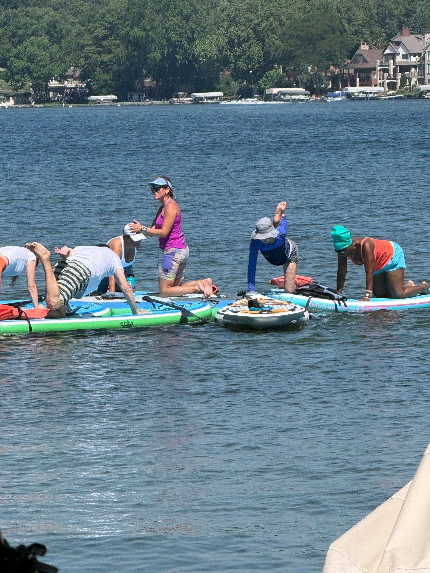 People paddleboarding on a lake with trees and houses in the background, some kneeling and some sitting on boards, sunny day.