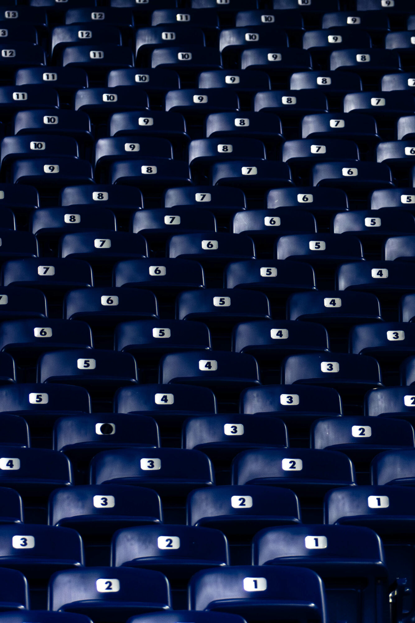 Multiple dark blue stadium seats with white numbered labels, arranged in rows and columns.