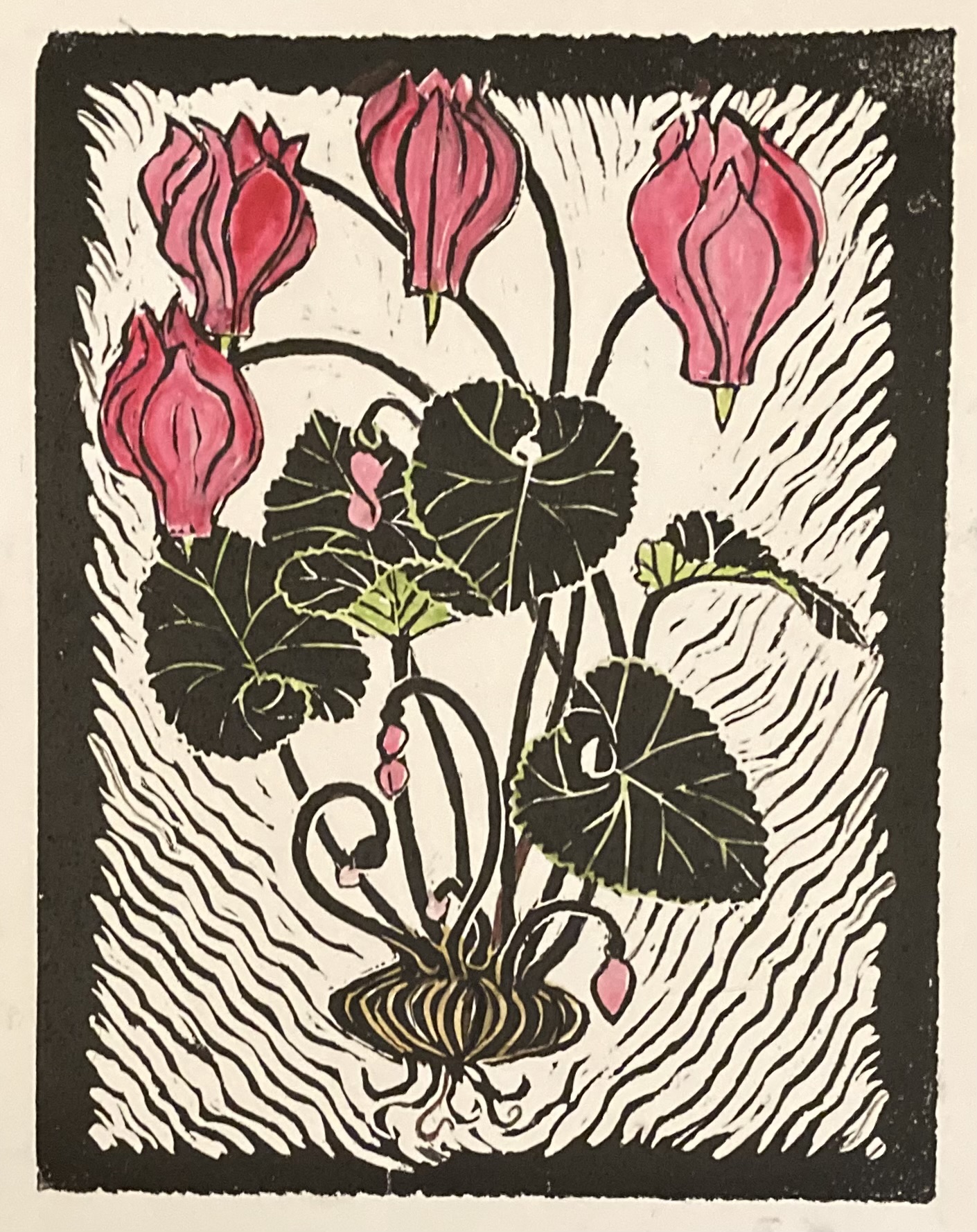 Illustration of pink flowers with large green leaves and a root system, on a black and white background with wavy lines.