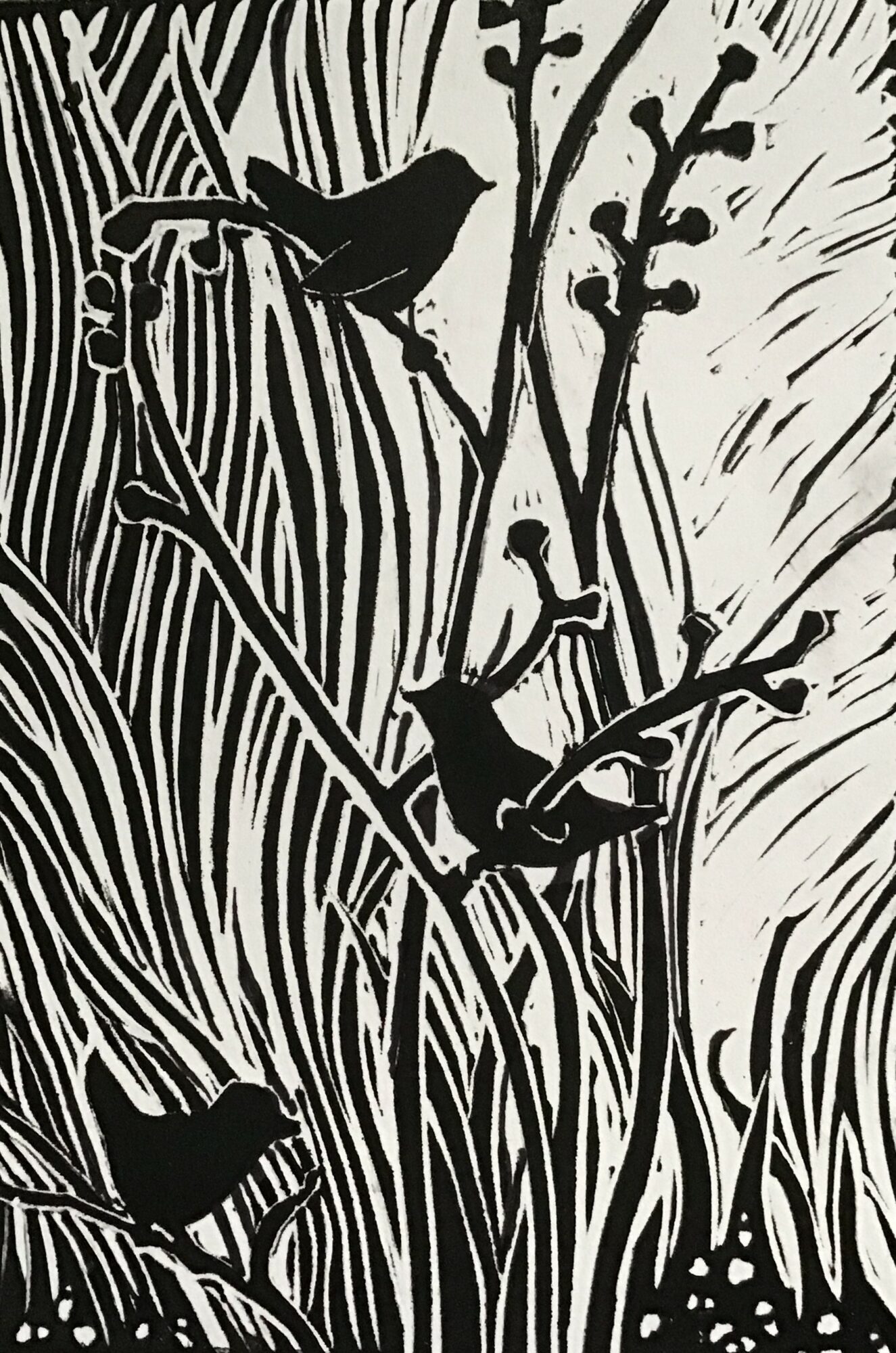 Silhouette of a person playing guitar among tall grass and plants, with a bird perched on a branch nearby.