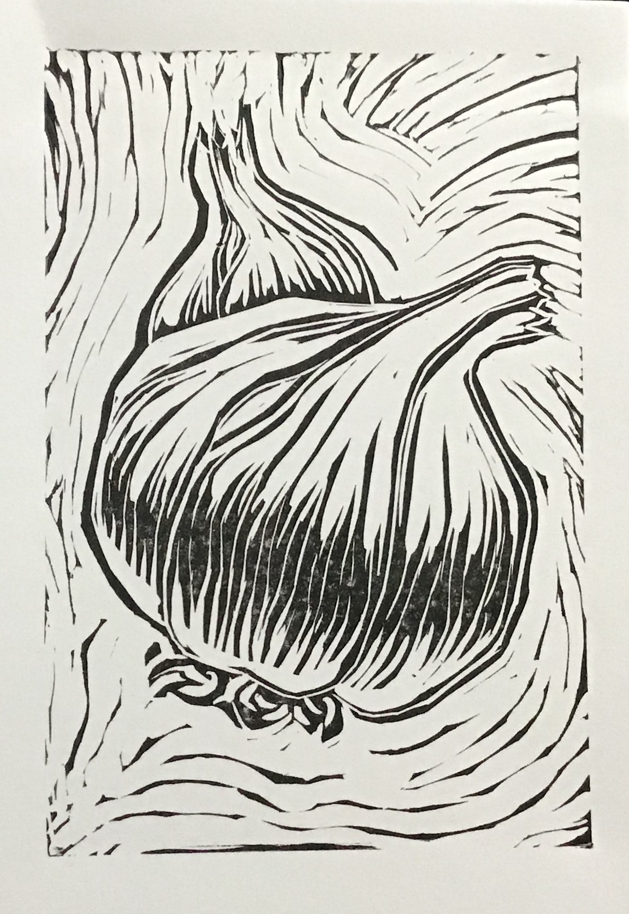 Black and white abstract drawing of a bulbous shape with lines radiating outward, resembling a stylized onion or bulb.