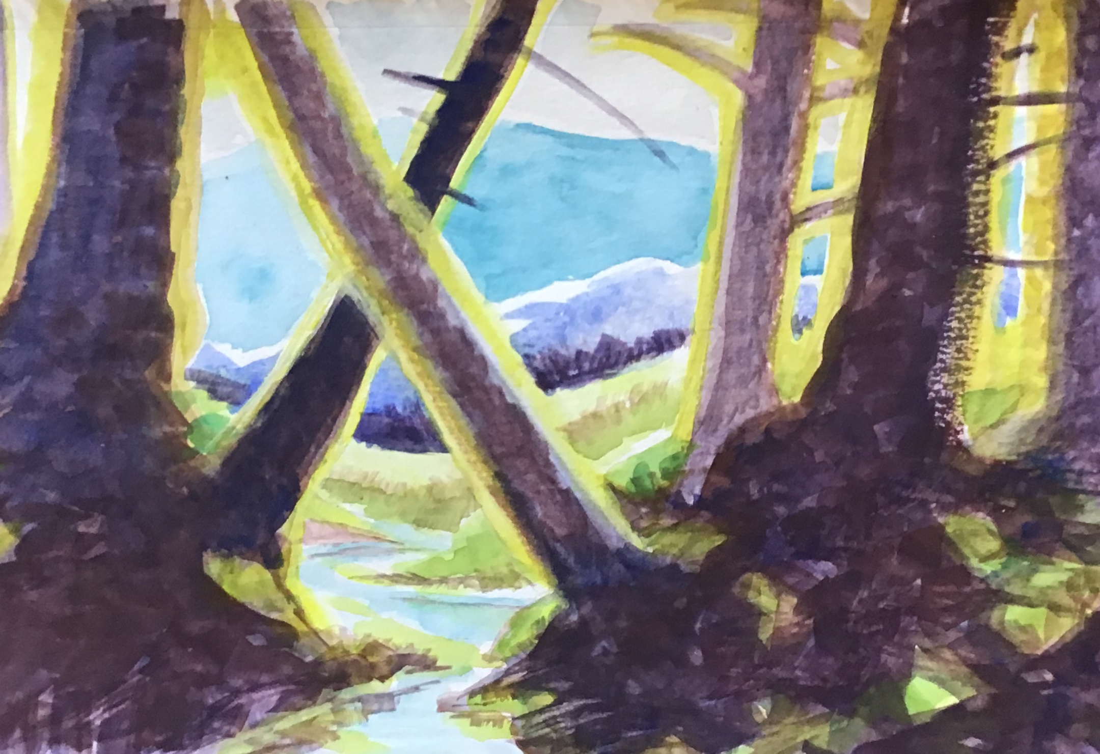 Watercolor painting of a forest with trees, a stream, and distant hills, in bright colors.