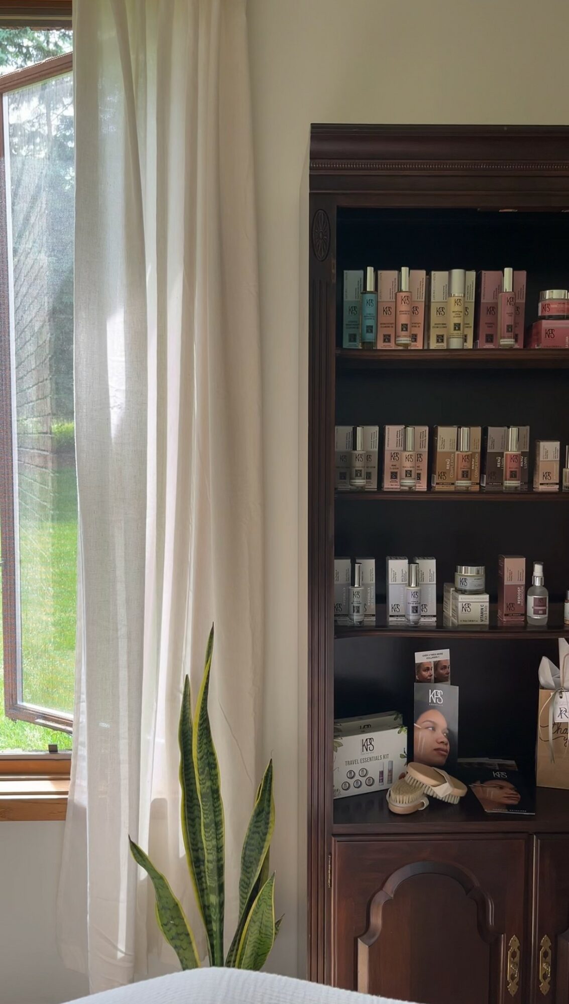 Part of a room with a window, white curtain, a tall plant, and a dark bookshelf filled with books.