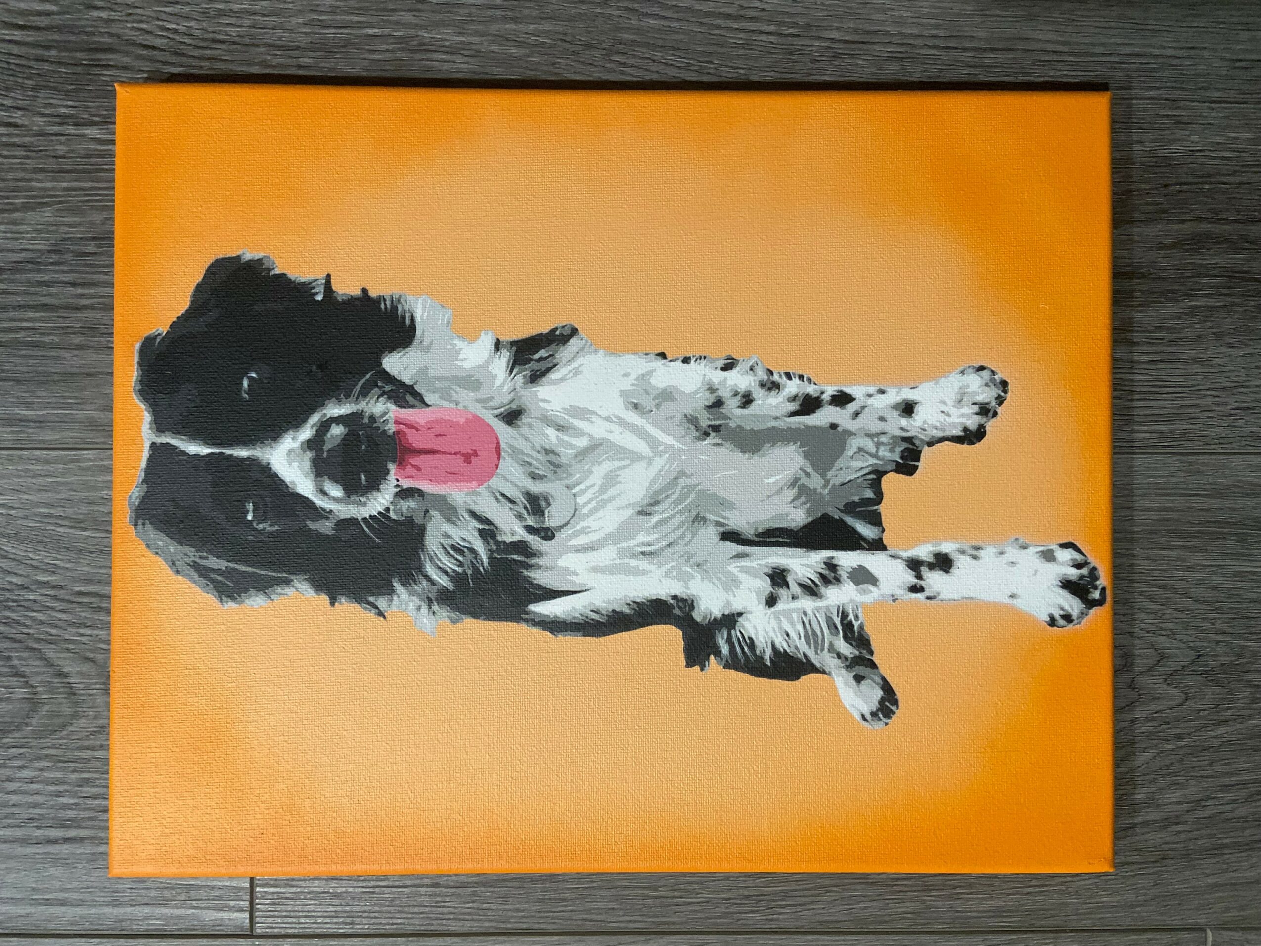 Dog lying on orange background with pink tongue out, black and white fur, facing left, lying down.